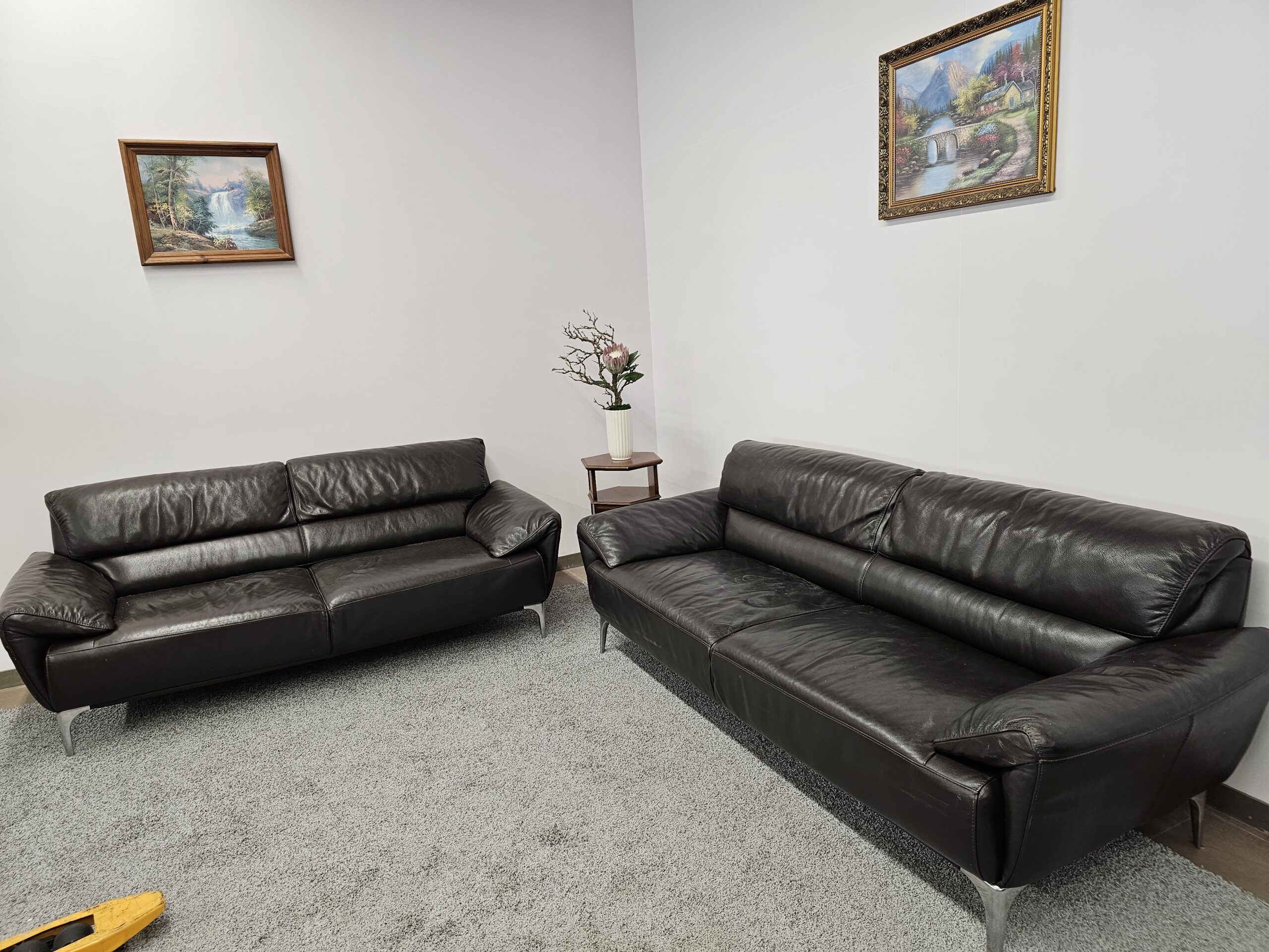 Natūralios odos komplektas