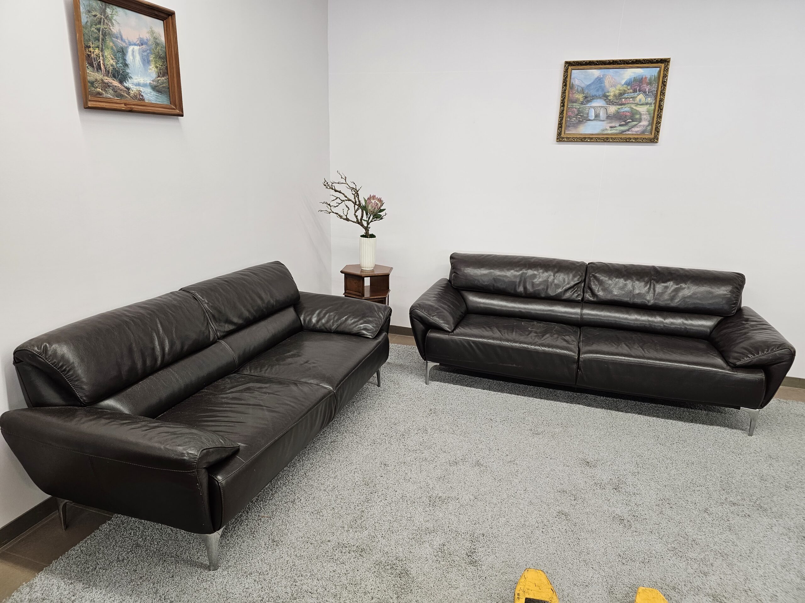 Natūralios odos komplektas