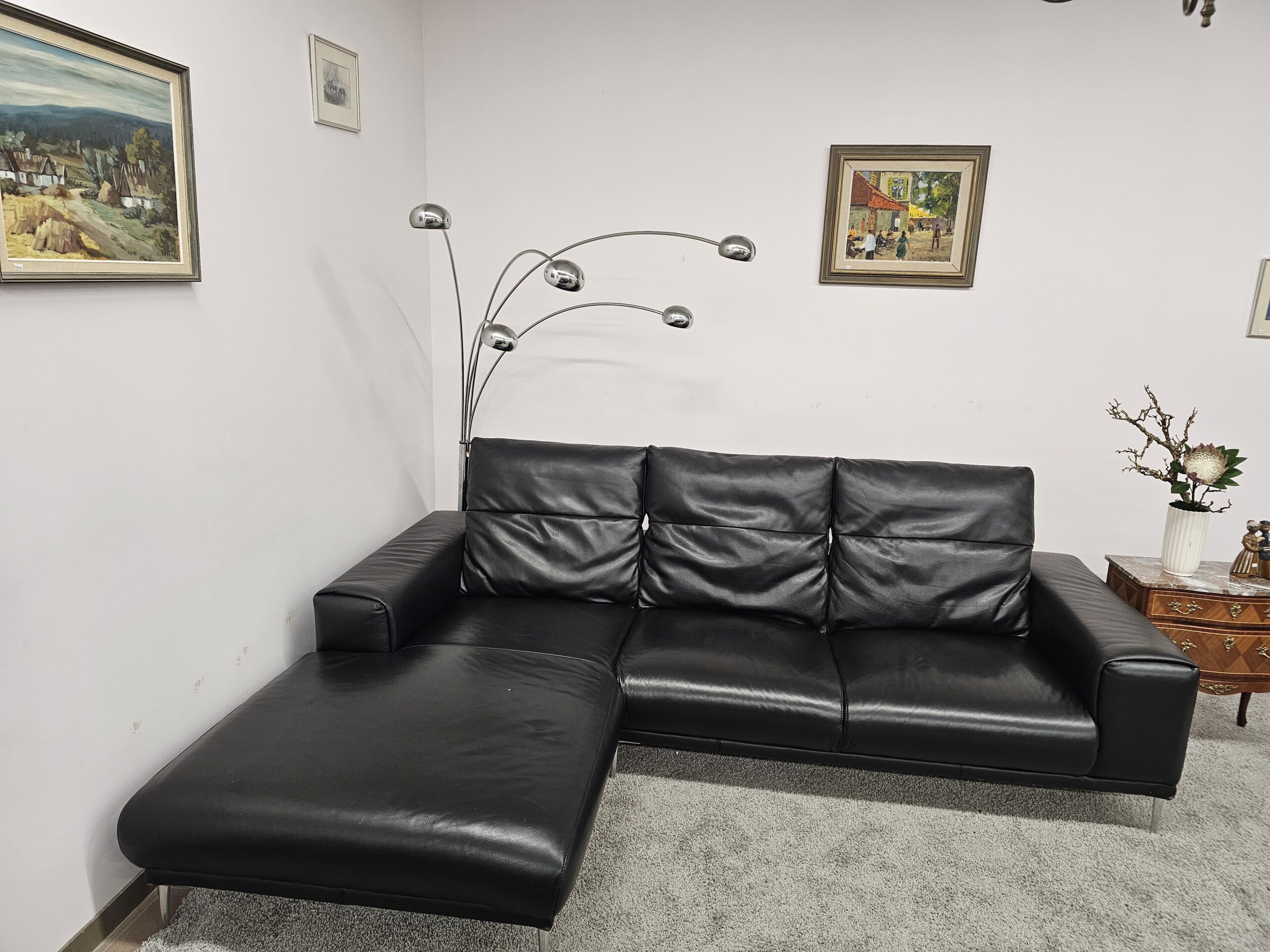 Natūralios odos kampas