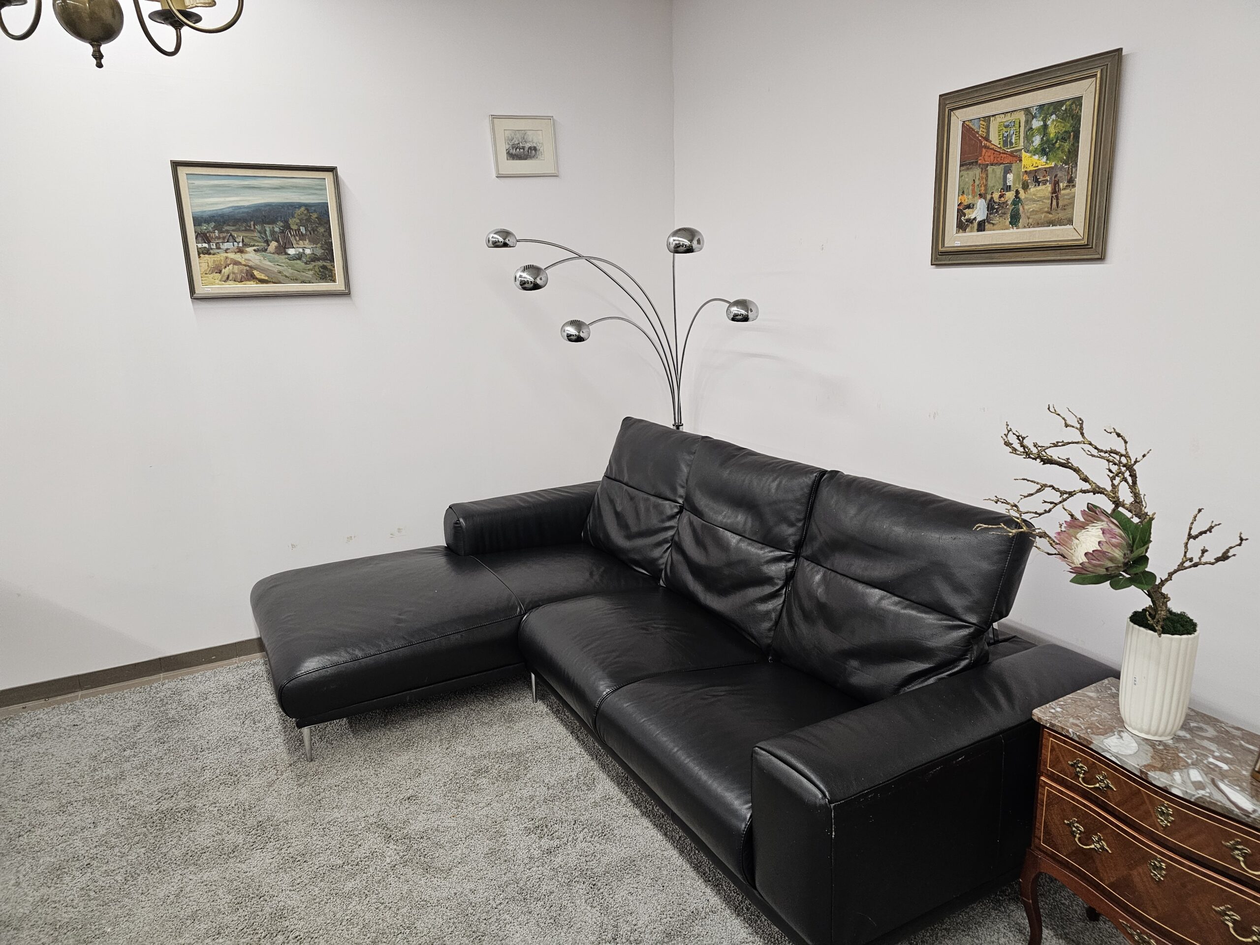 Natūralios odos kampas