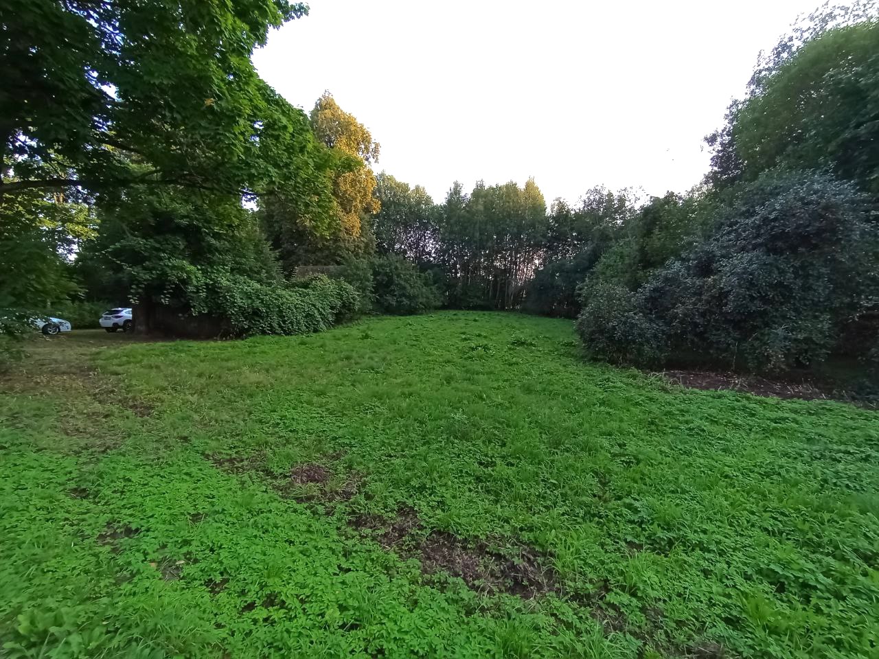 Parduodama sodyba su dideliu sklypu