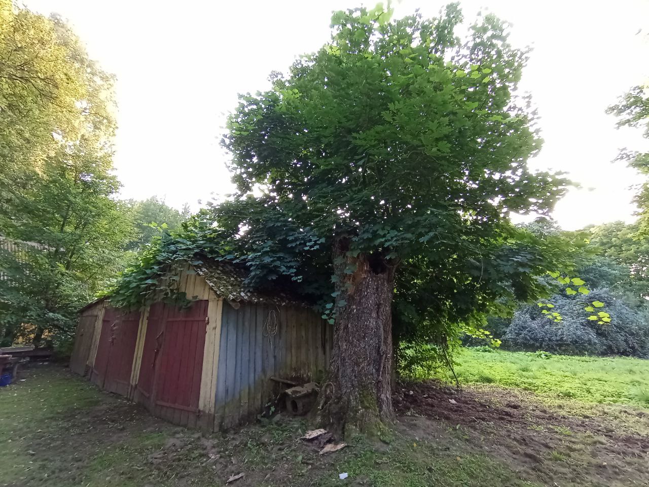 Parduodama sodyba su dideliu sklypu