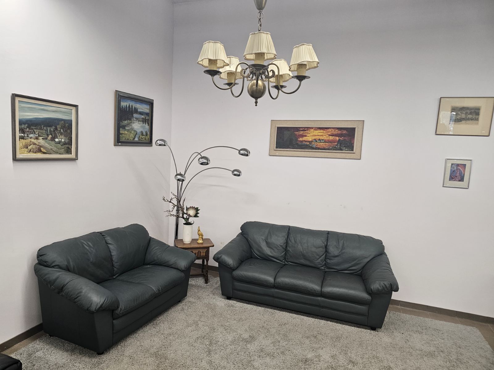 Natūralios odos komplektas