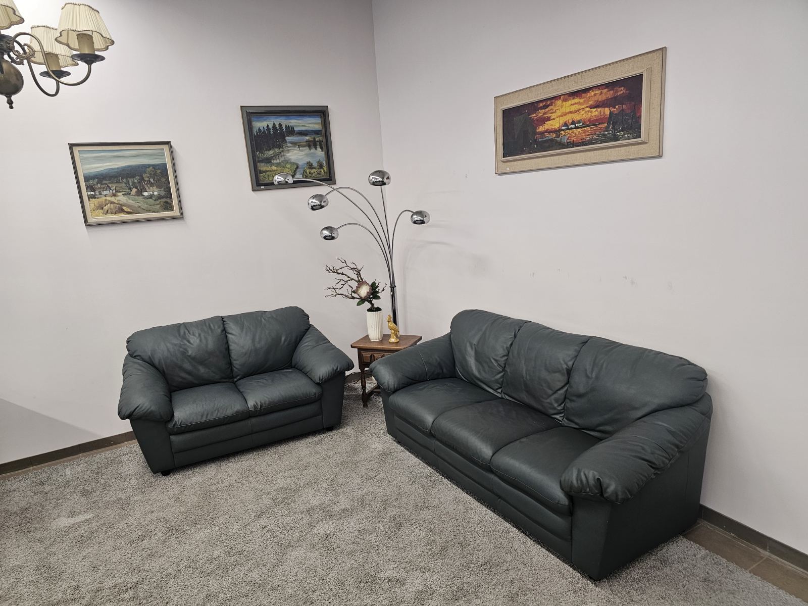 Natūralios odos komplektas