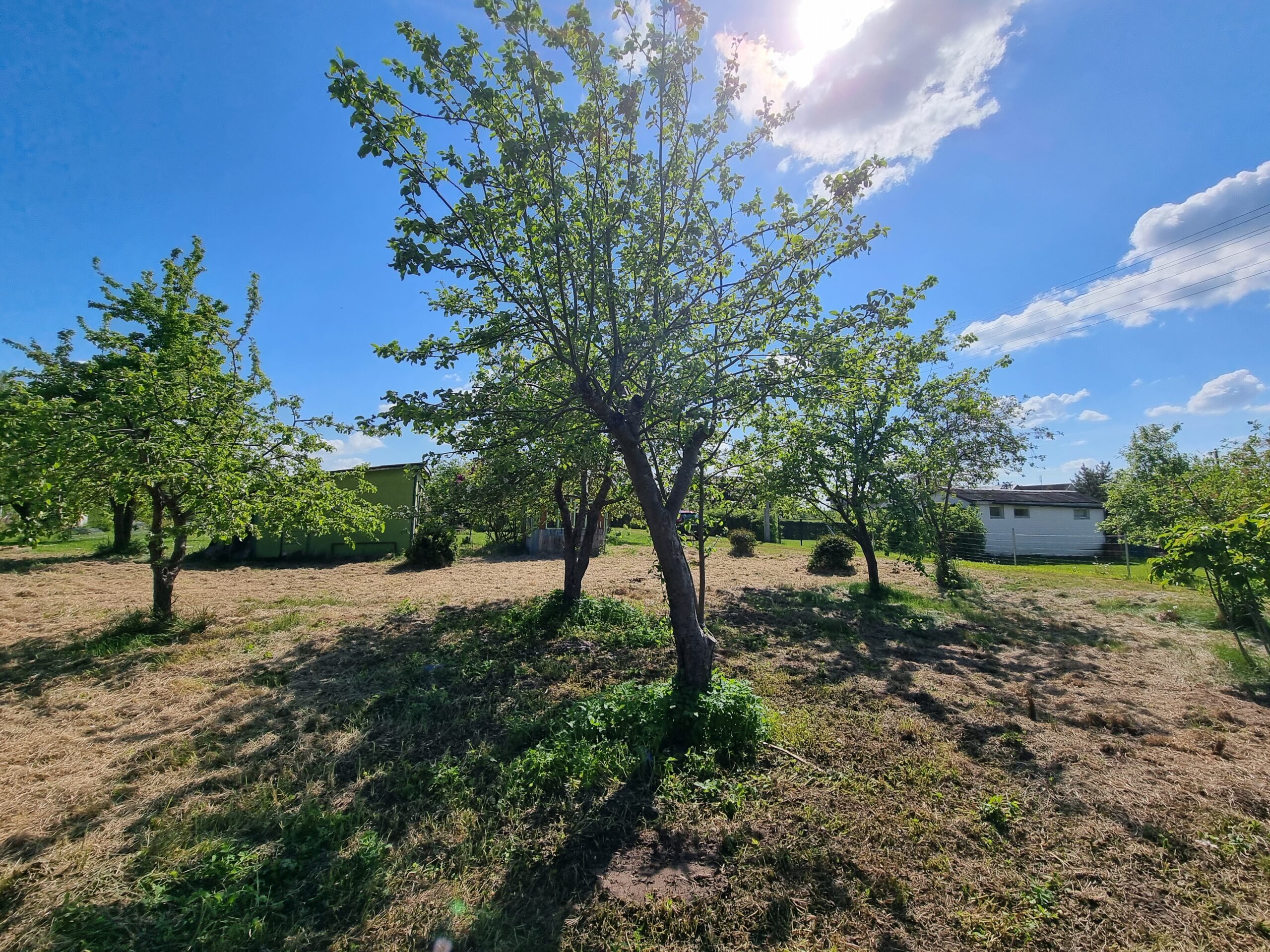 Sodas su nedideliu nameliu Panevėžio r.