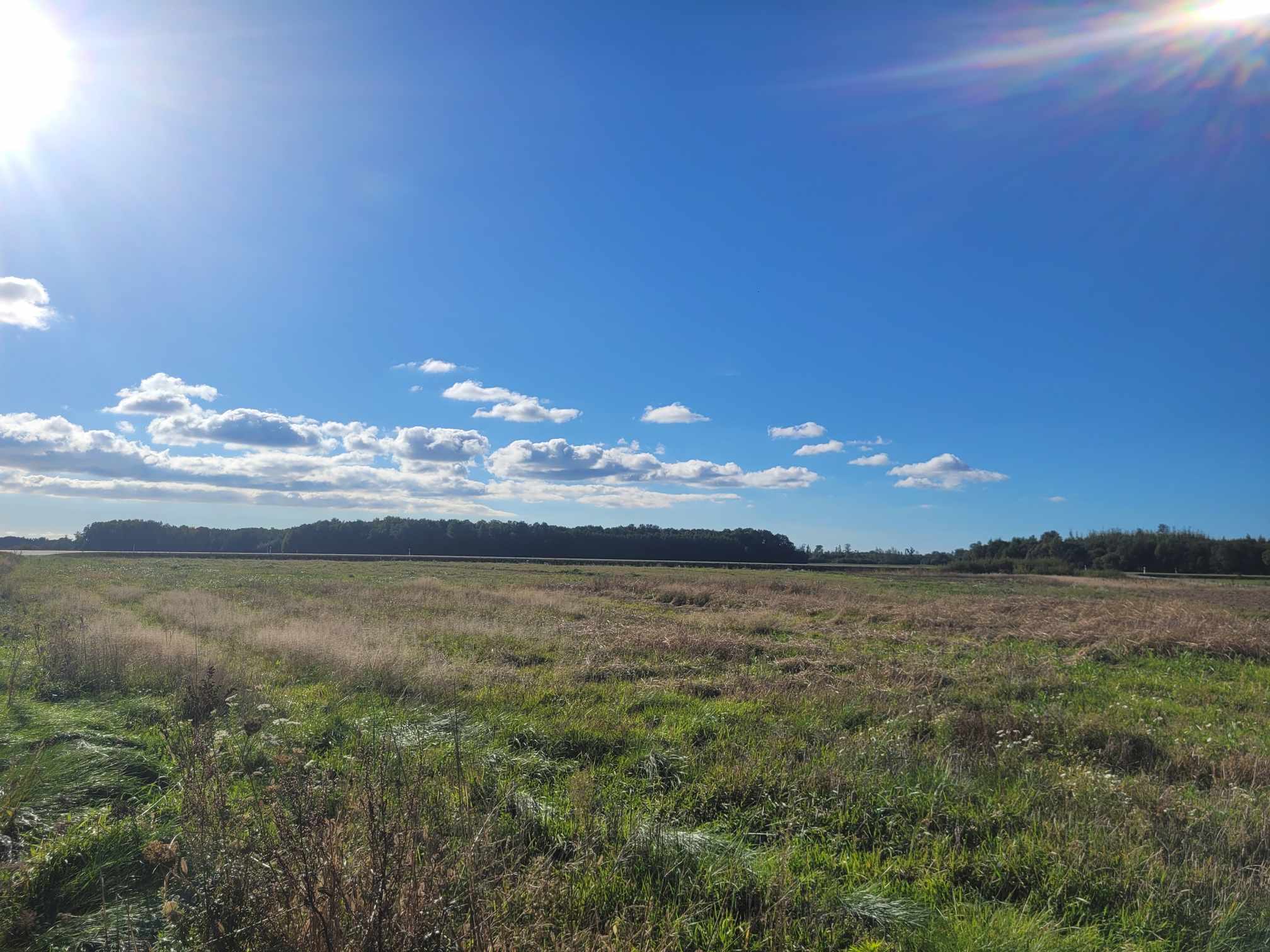 PARDUODAMAS ŽEMĖS SKLYPAS TARP KRETINGALĖS IR PLIKIŲ!
