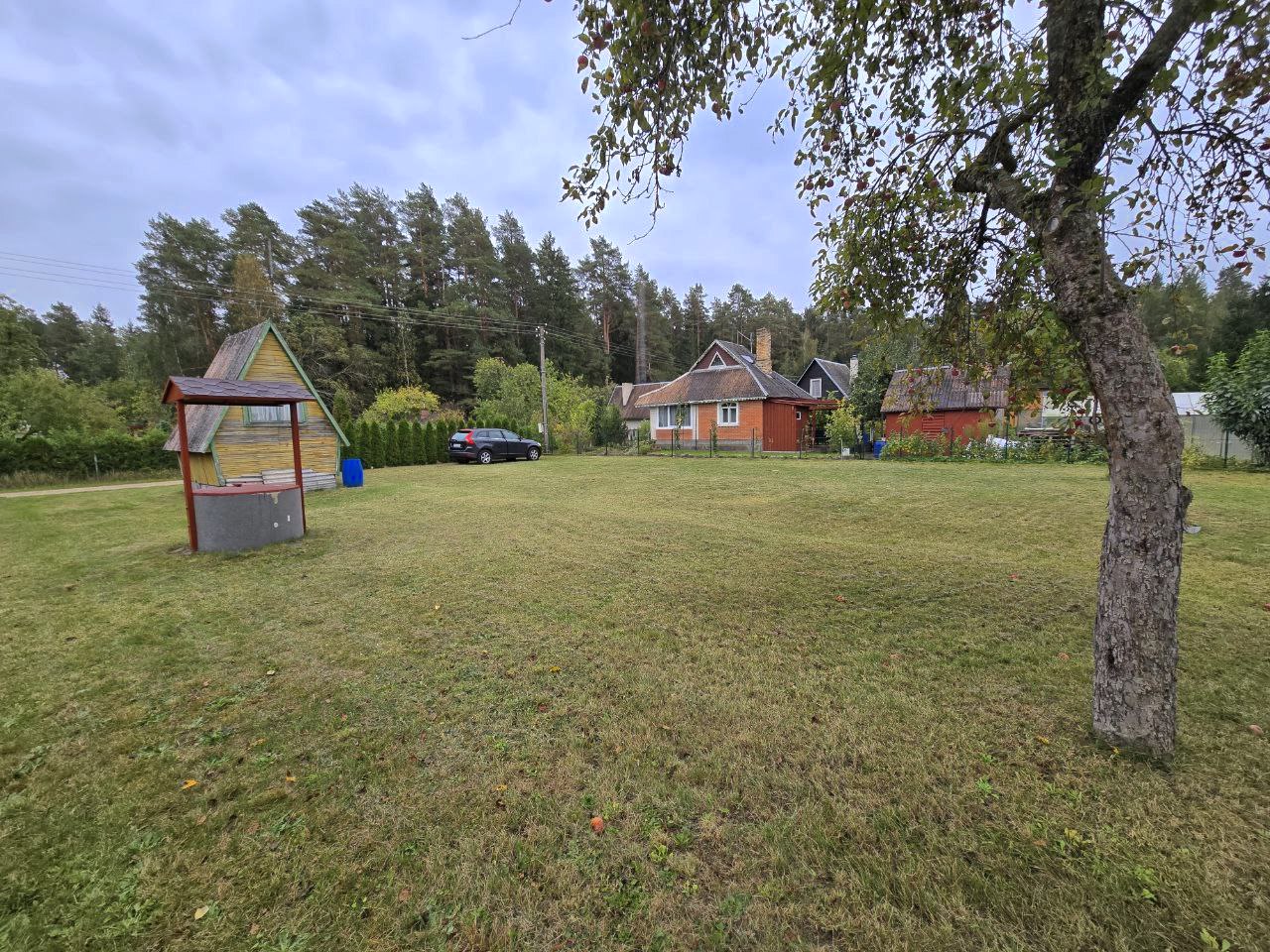 Sodas Panevėžio r. sav. Pagiegalos k.