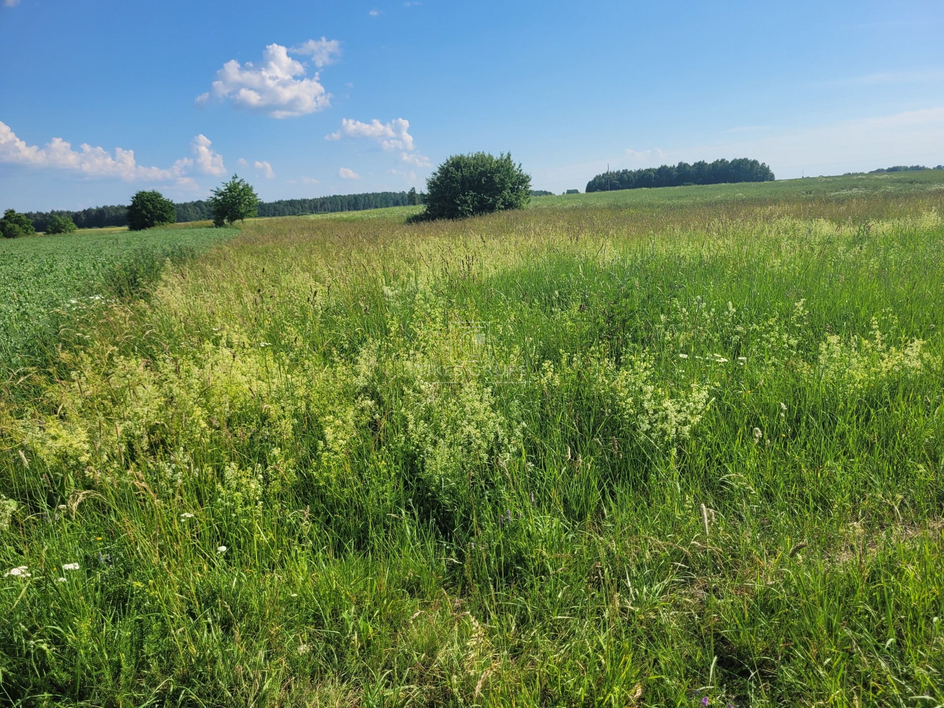 Sklypas namo statybai Jokūbave
