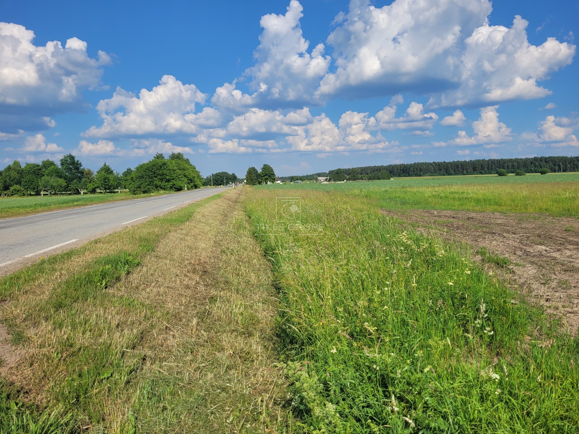 Sklypas namo statybai Jokūbave