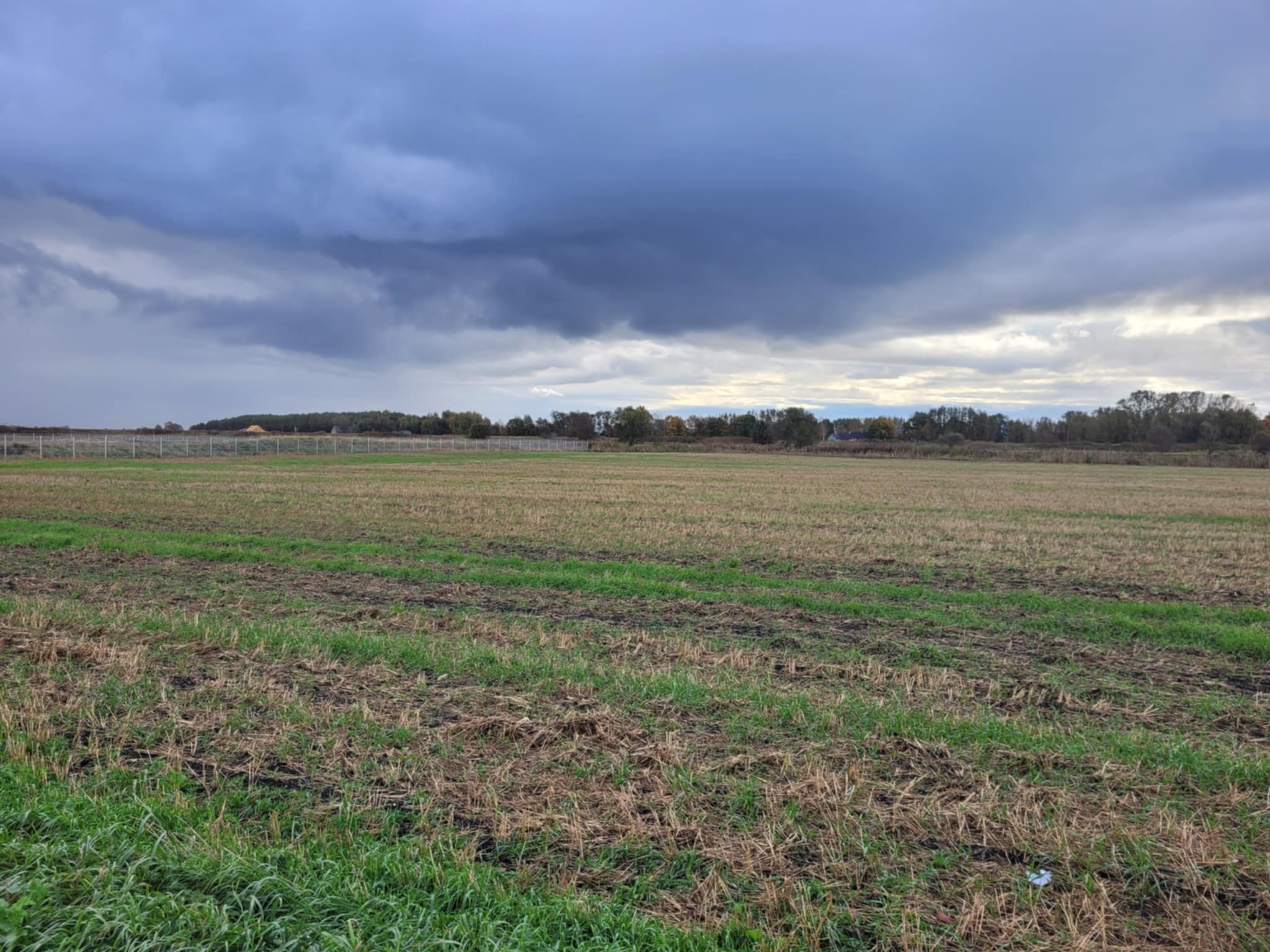 50 ARŲ SKLYPAS DREVERNOJE