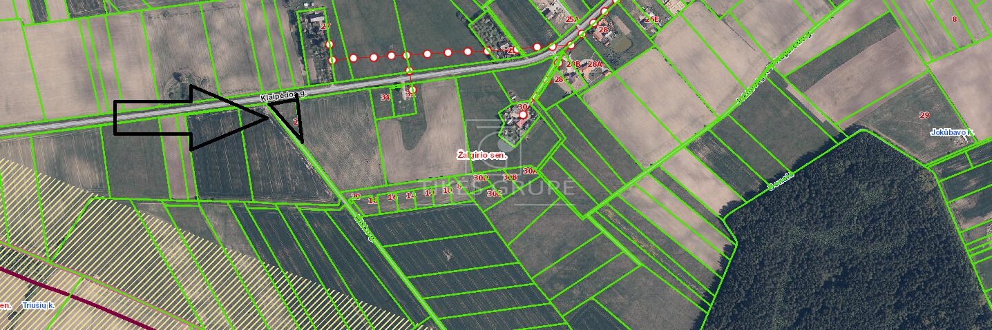 Sklypas namo statybai Jokūbave