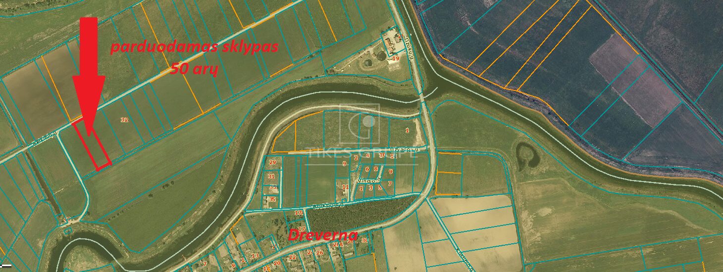 50 ARŲ SKLYPAS DREVERNOJE