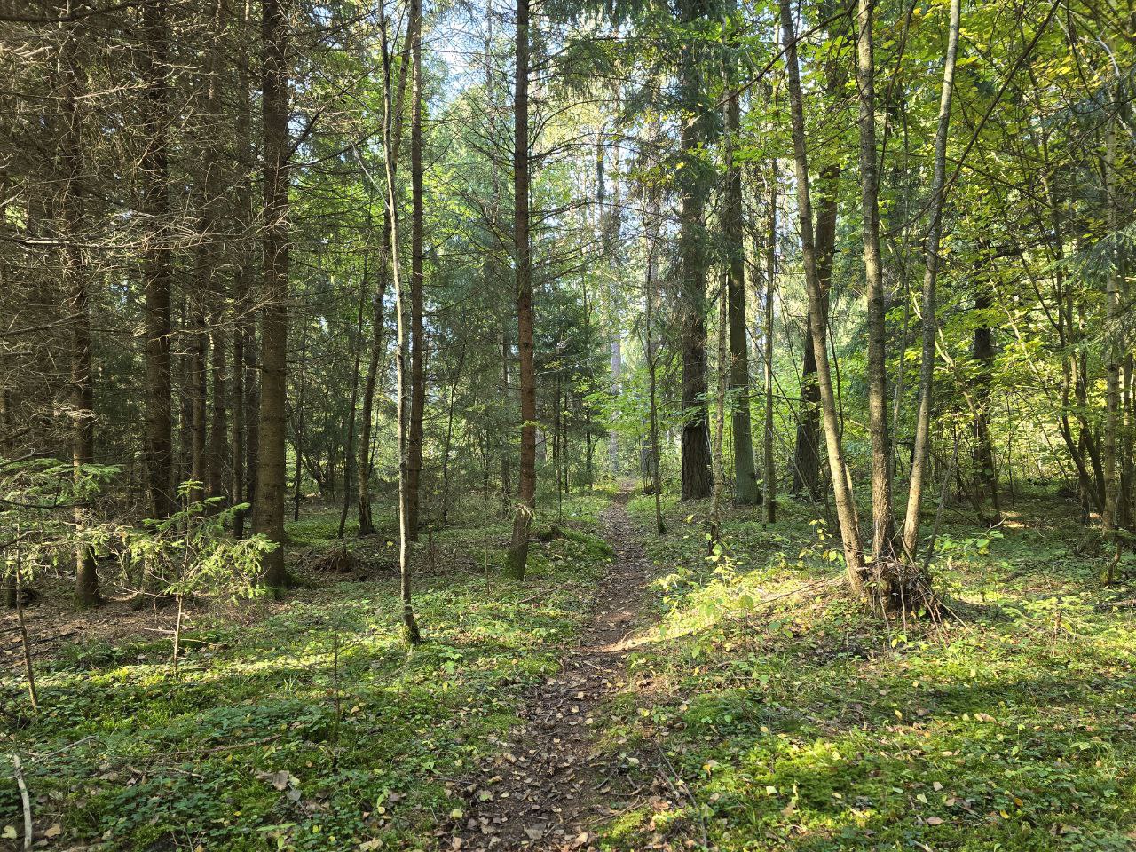 Sodas Panevėžio r. sav. Pagiegalos k.