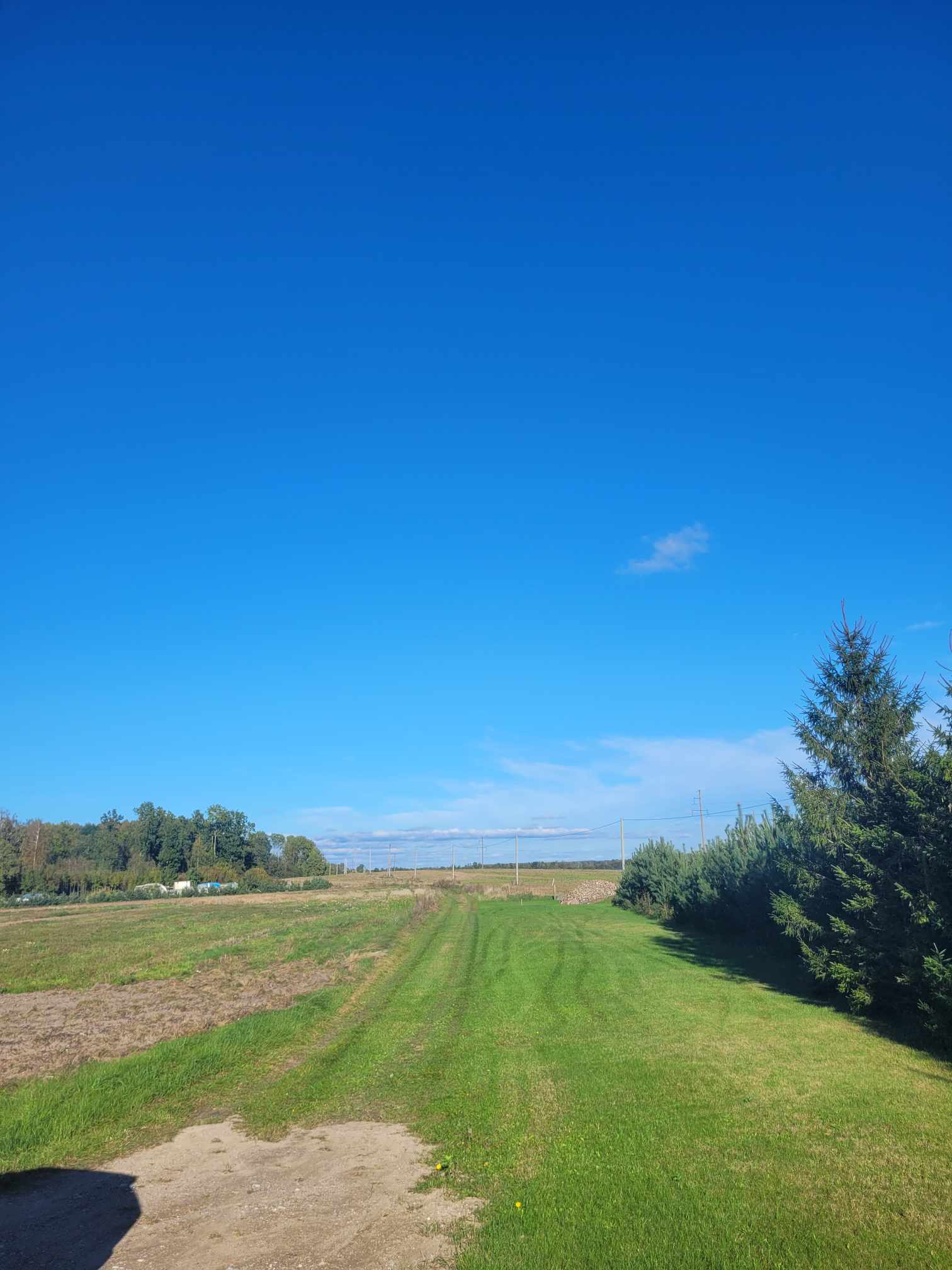 PARDUODAMAS ŽEMĖS SKLYPAS TARP KRETINGALĖS IR PLIKIŲ!