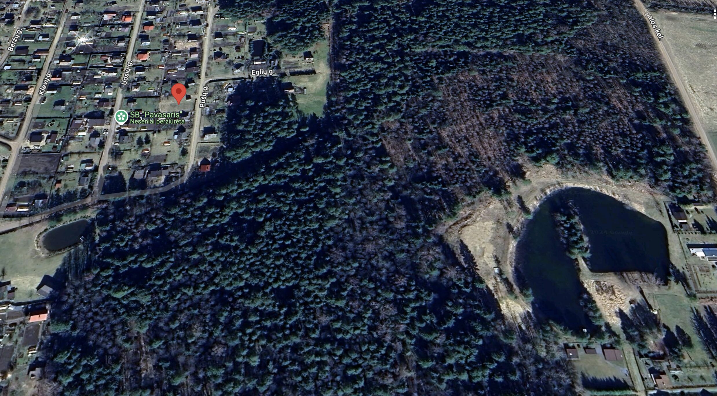 Sodas Panevėžio r. sav. Pagiegalos k.