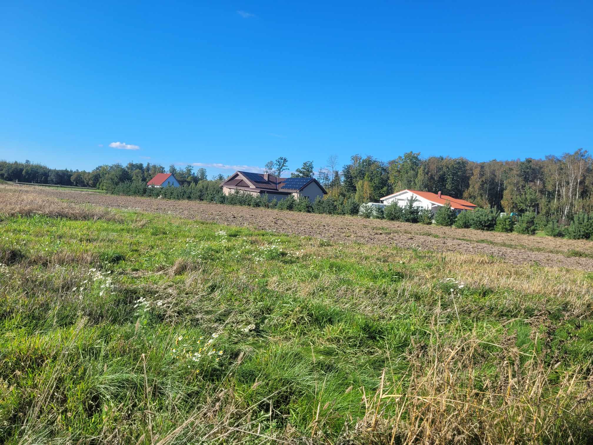 PARDUODAMAS ŽEMĖS SKLYPAS TARP KRETINGALĖS IR PLIKIŲ!