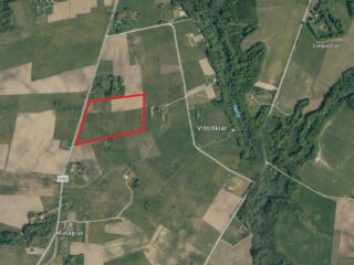 Screenshot-2024-10-23-121905