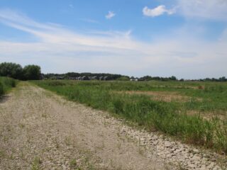 palanga-sventoji-kregzdziu-g-1