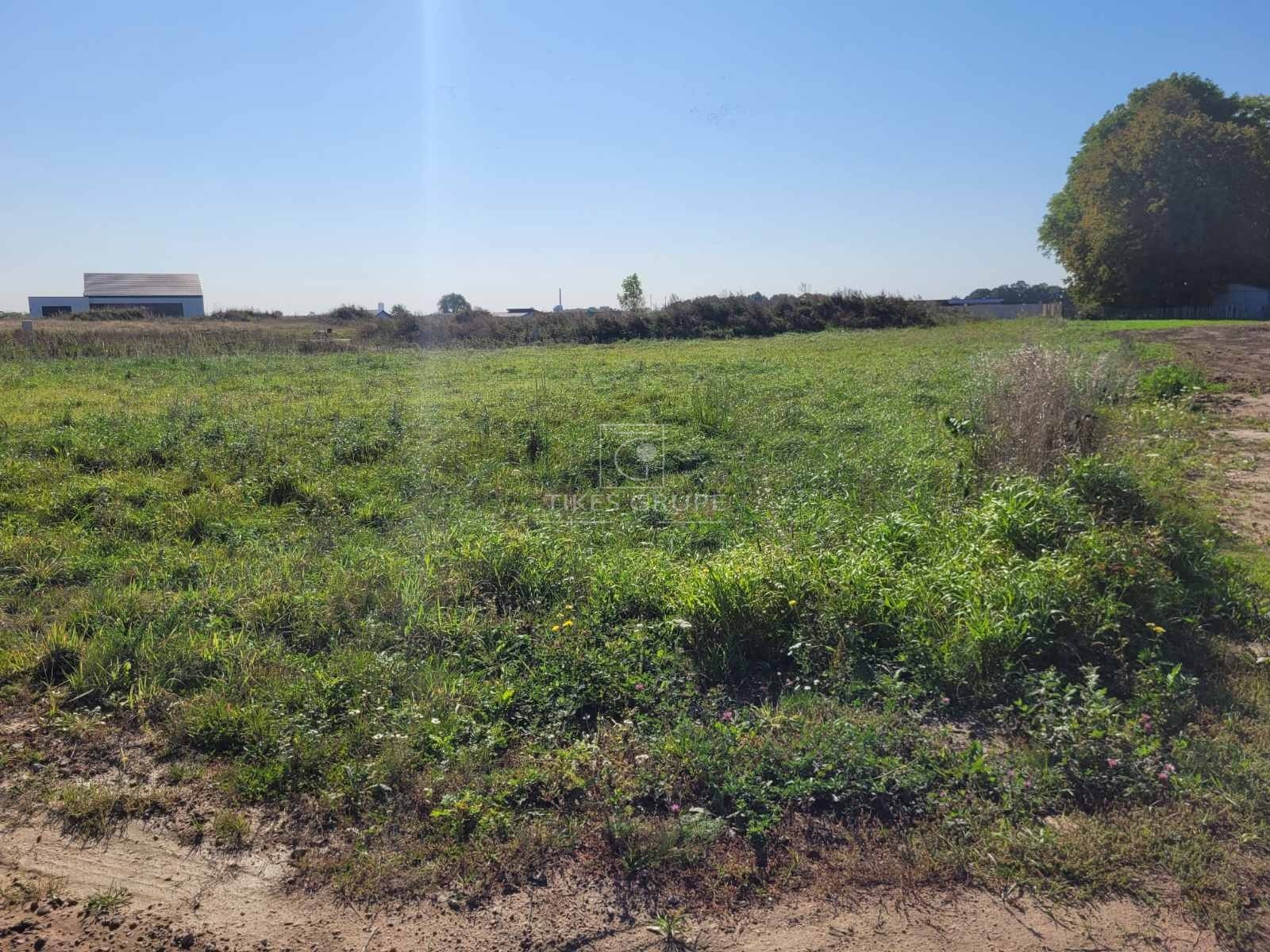 Parduodamas 15.4 arų sklypas Klaipėda, Beržininkų g.