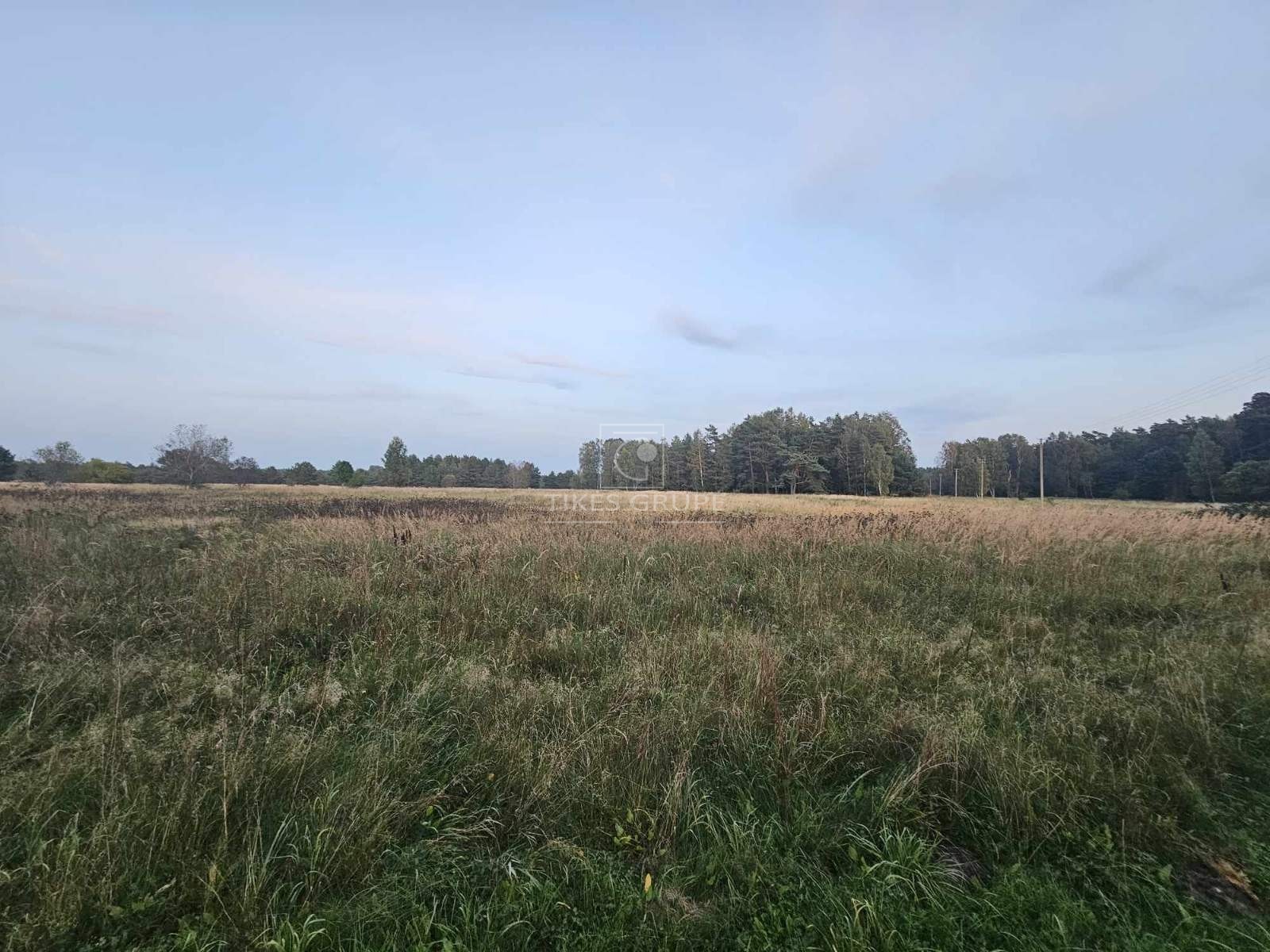 Parduodamas 24 arų žemės ūkio paskirties žemės sklypas Kairių poligone, Klaipėdos rajone