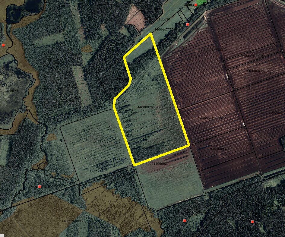 42,5700 ha durpynas (GALŲ DURPINO TERITORIJOJE).