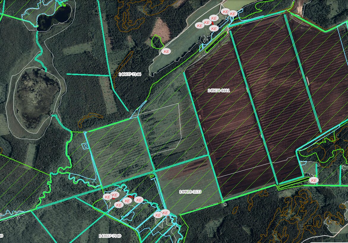 42,5700 ha durpynas (GALŲ DURPINO TERITORIJOJE).