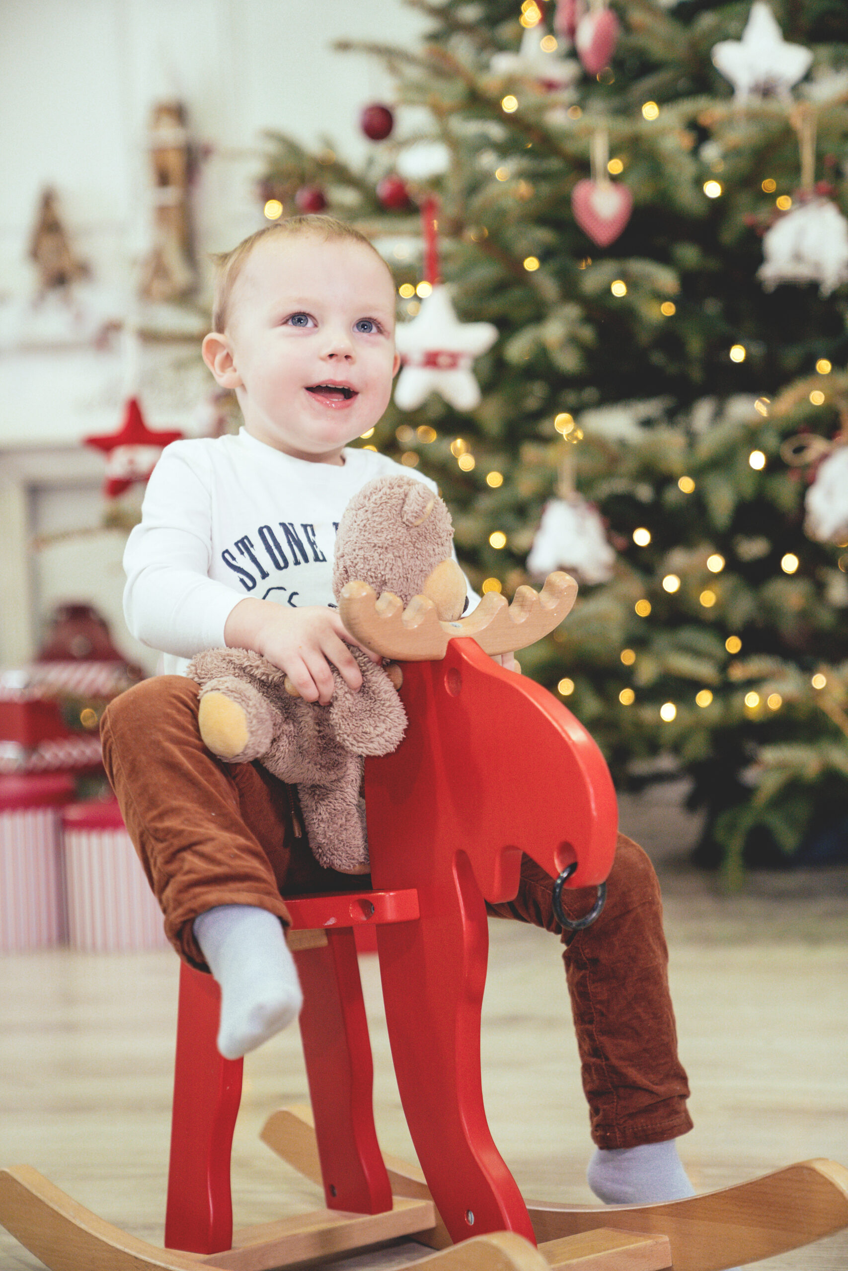 Kalėdinė fotosesija + fotoknyga Dovanų!