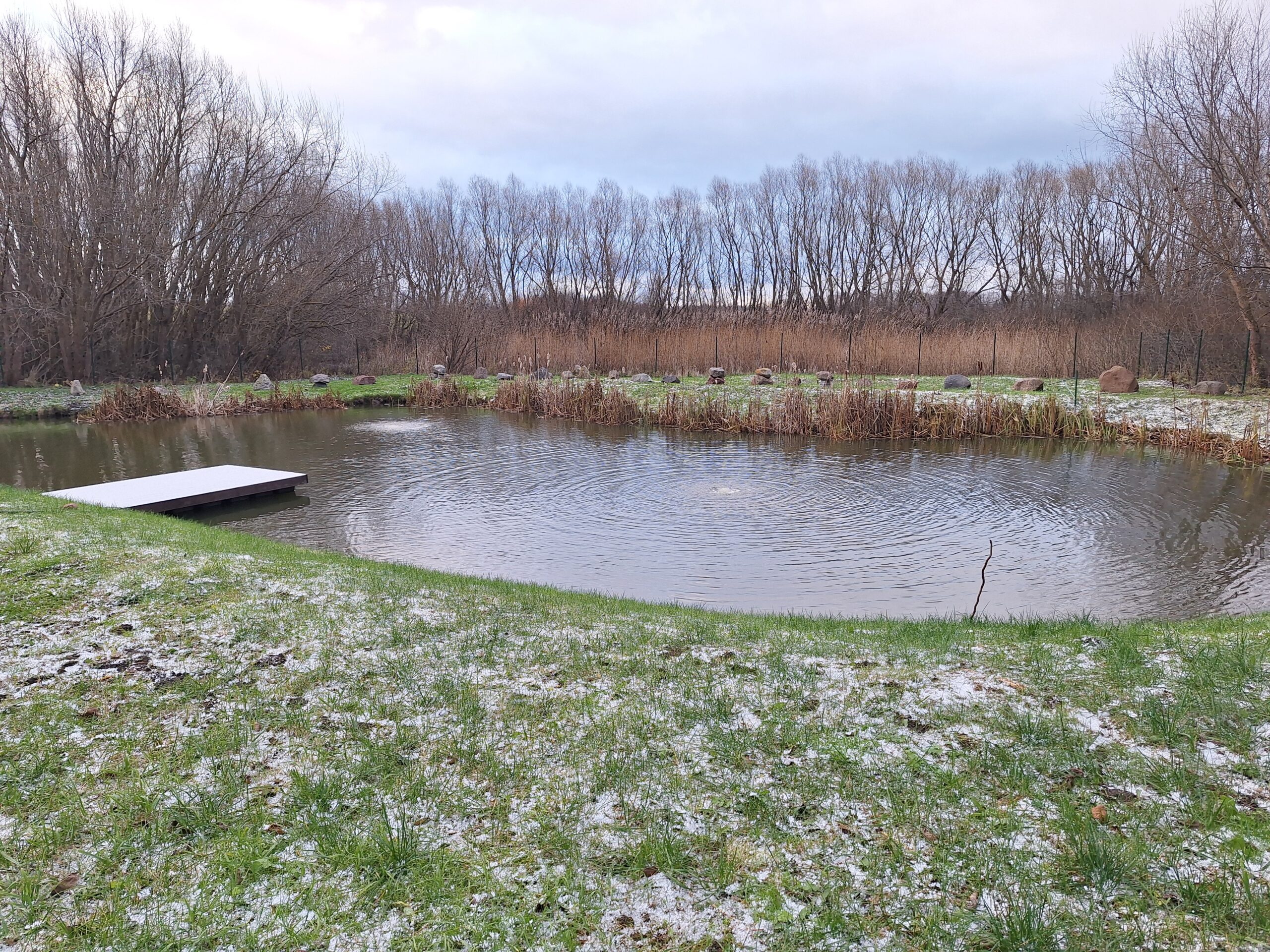 Parduodama sodyba Klaipėdos mieste.