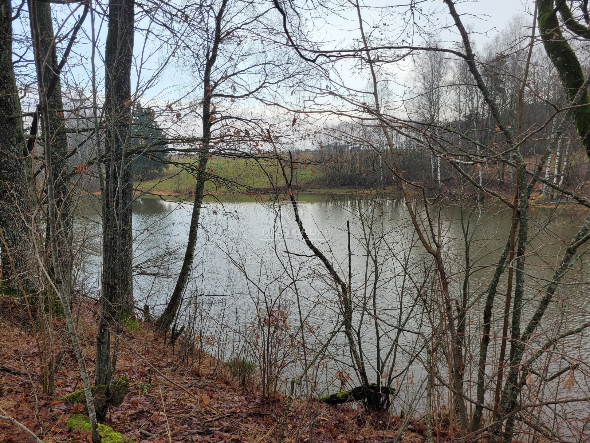 Šis pasiūlymas – puiki galimybė įsigyti unikalų objektą, apimantį žemės ūkio paskirties žemę, mišką ir vandens telkinį viename!