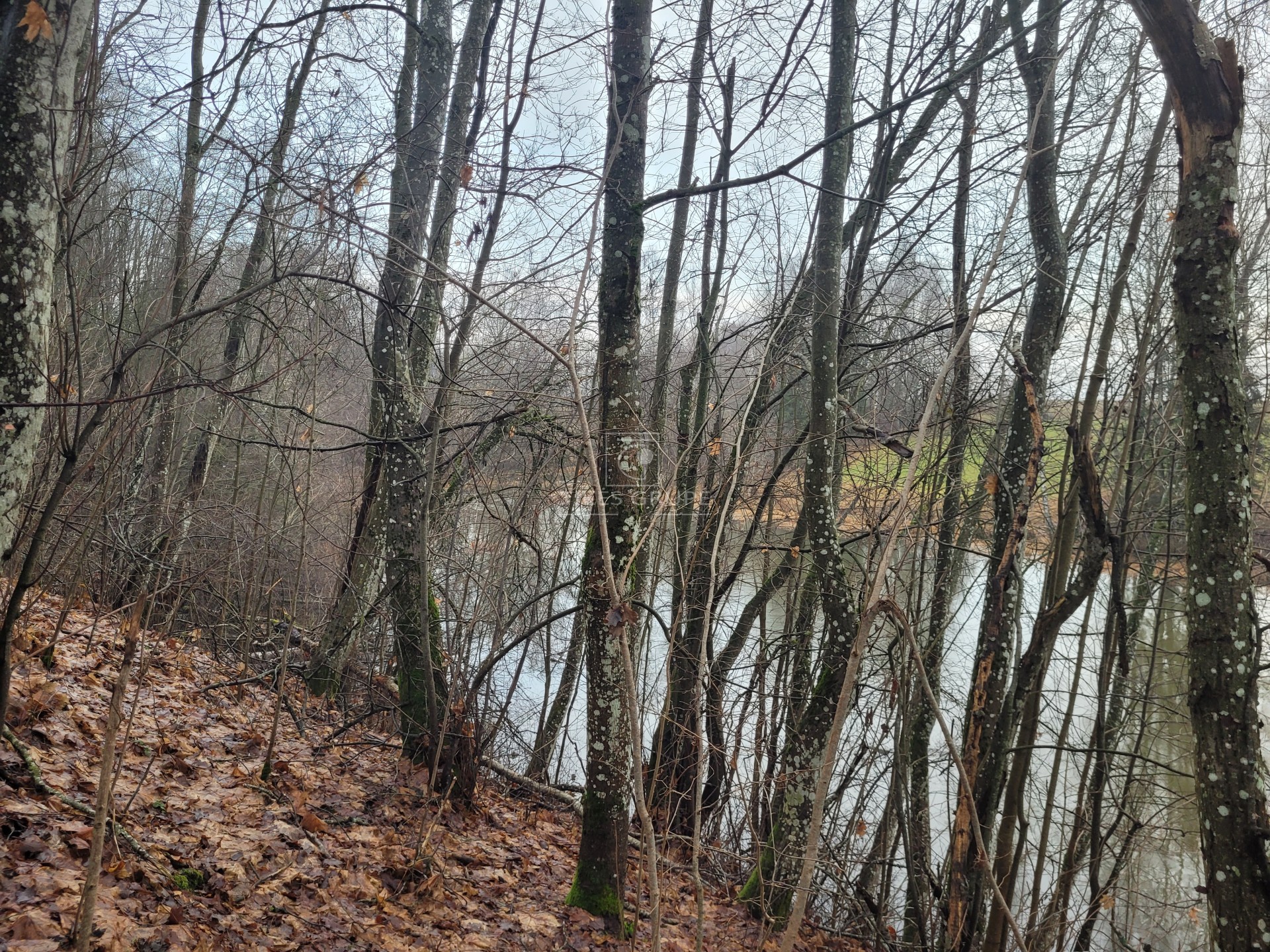 Šis pasiūlymas – puiki galimybė įsigyti unikalų objektą, apimantį žemės ūkio paskirties žemę, mišką ir vandens telkinį viename!