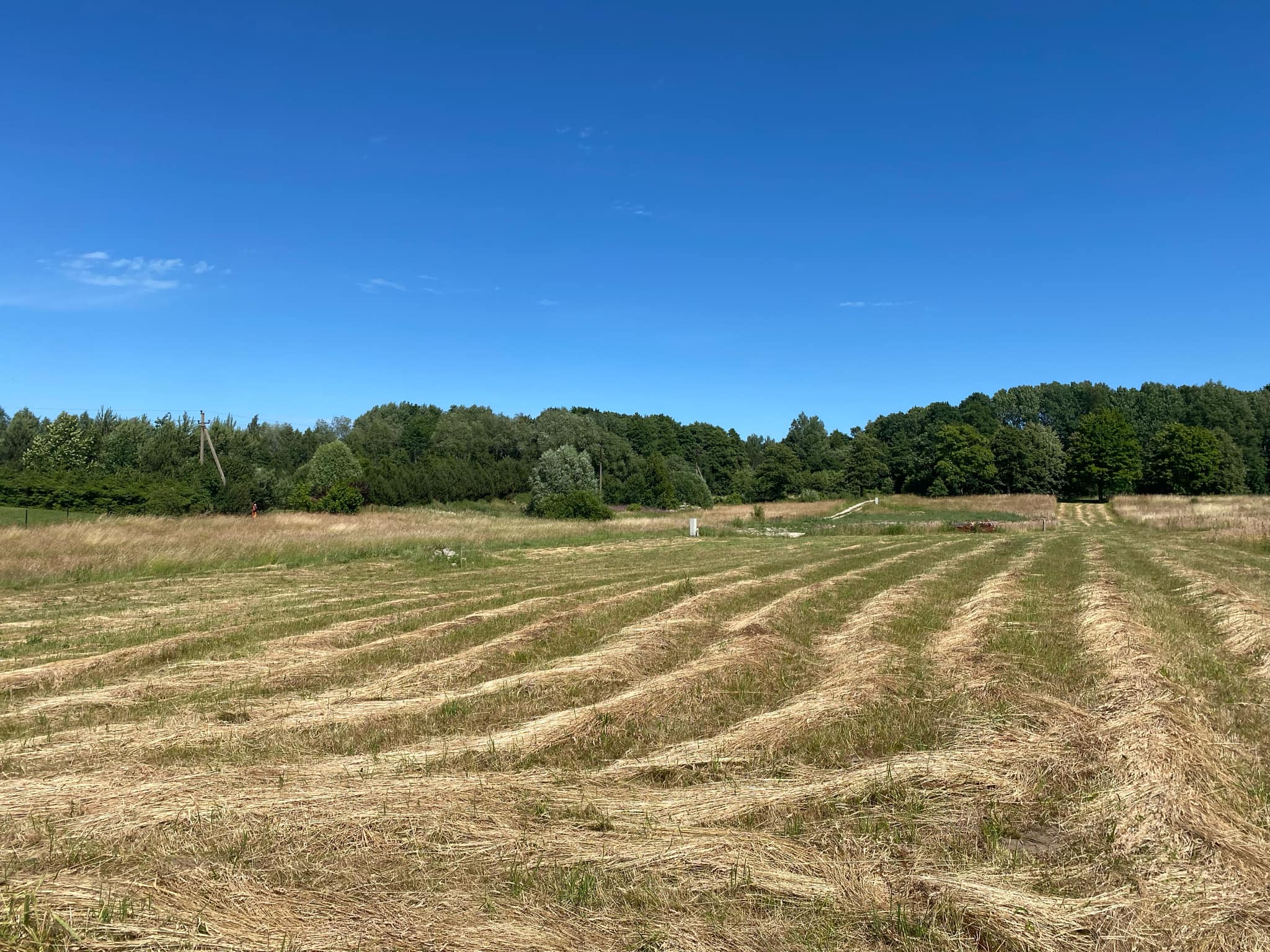 PARDUODAMAS 17a. SKLYPAS PRIEKULĖJE (Pangesų k. Pangesų g. 13A)