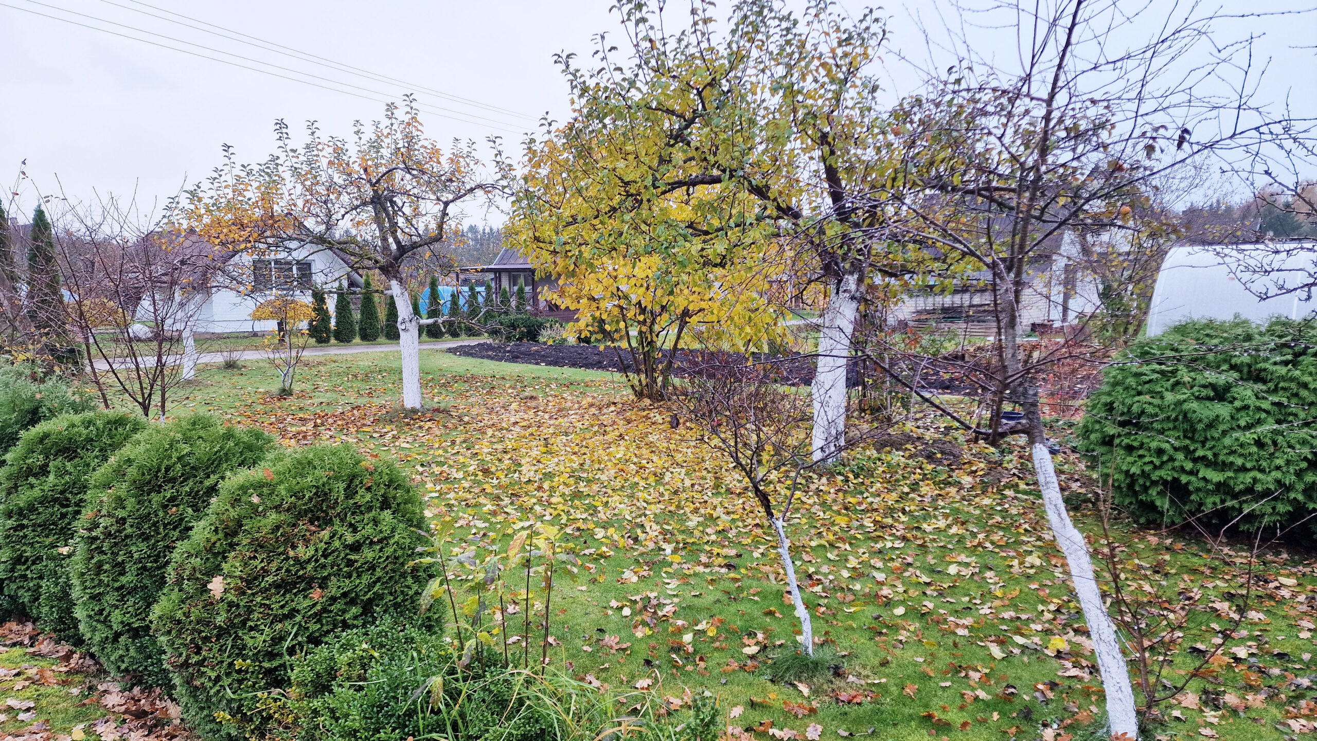 Parduodamas sodas SB Gija, Juodlieknio k., Tvenkinio g. 16, Panevėžio raj.