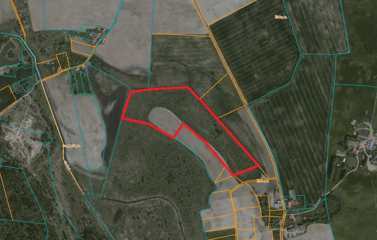 9.2041 HA ŽEMĖS SKLYPAS ŠIRVINTŲ R. SAV., BAGASLAVIŠKIS.