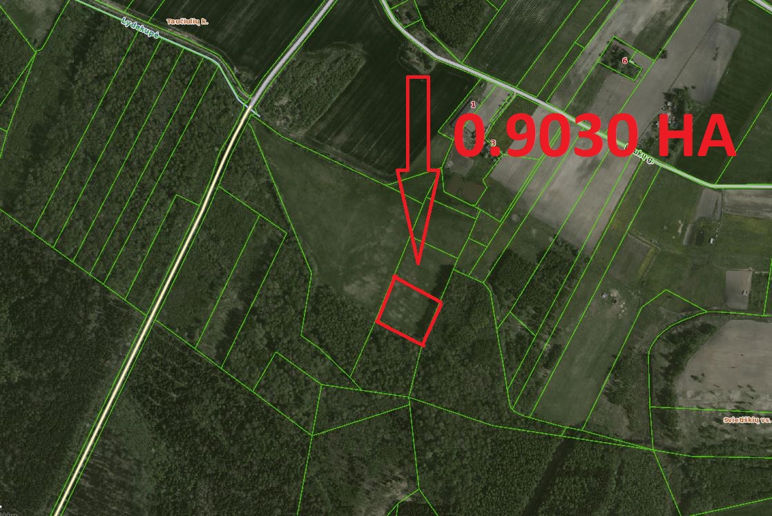 0,9030 HA ŽEMĖS SKLYPAS ŠIRVINTŲ R. SAV., MUSNINKŲ SEN., TAUČIULIŲ.