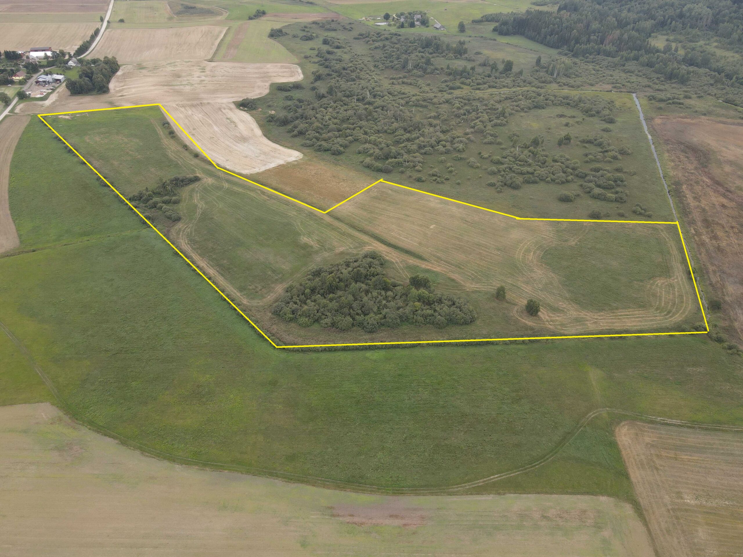 9.2041 HA ŽEMĖS SKLYPAS ŠIRVINTŲ R. SAV., BAGASLAVIŠKIS.