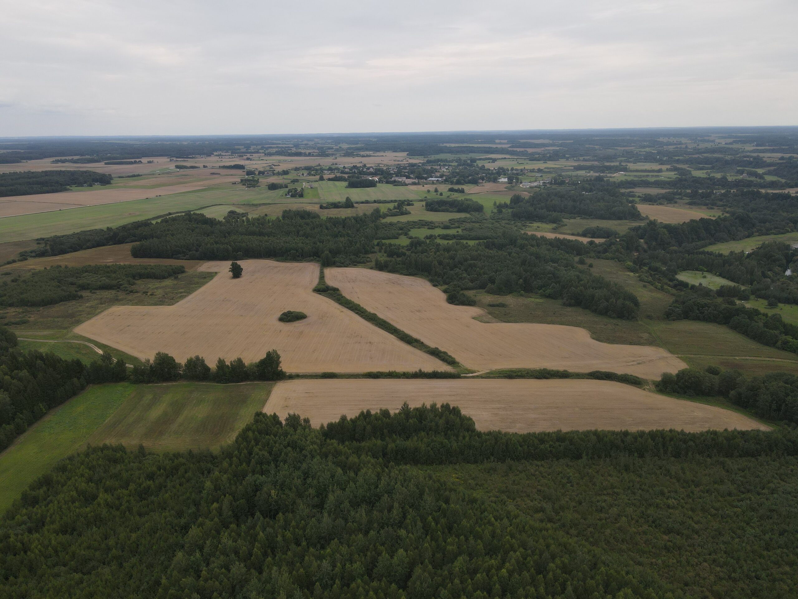 13.7030 HA Širvintų r. sav., Širvintų sen., Barzdžių k.