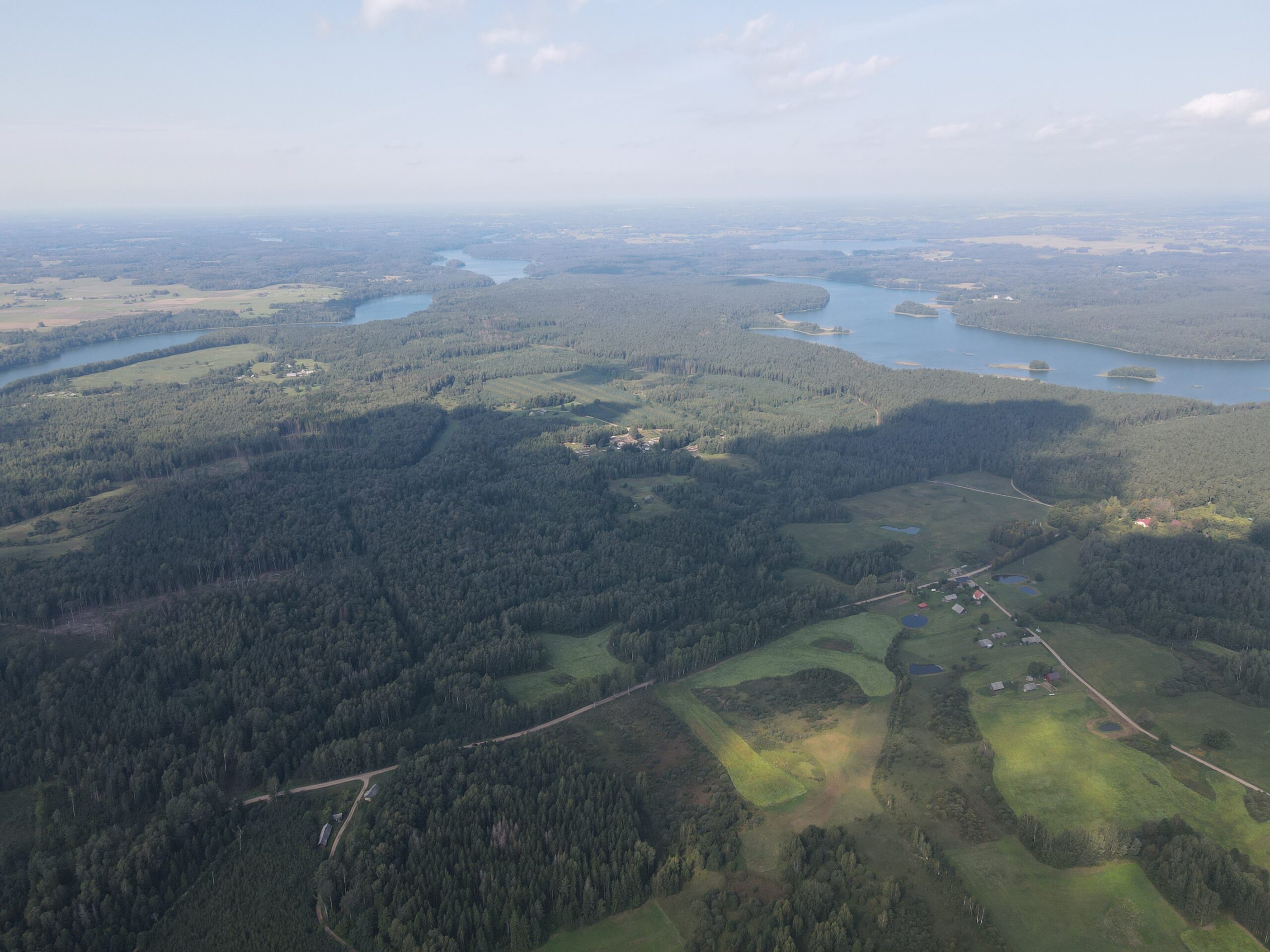 PARDUODAMAS MEDINIS NAMAS ASVEJOS REGIONINIAME PARKE