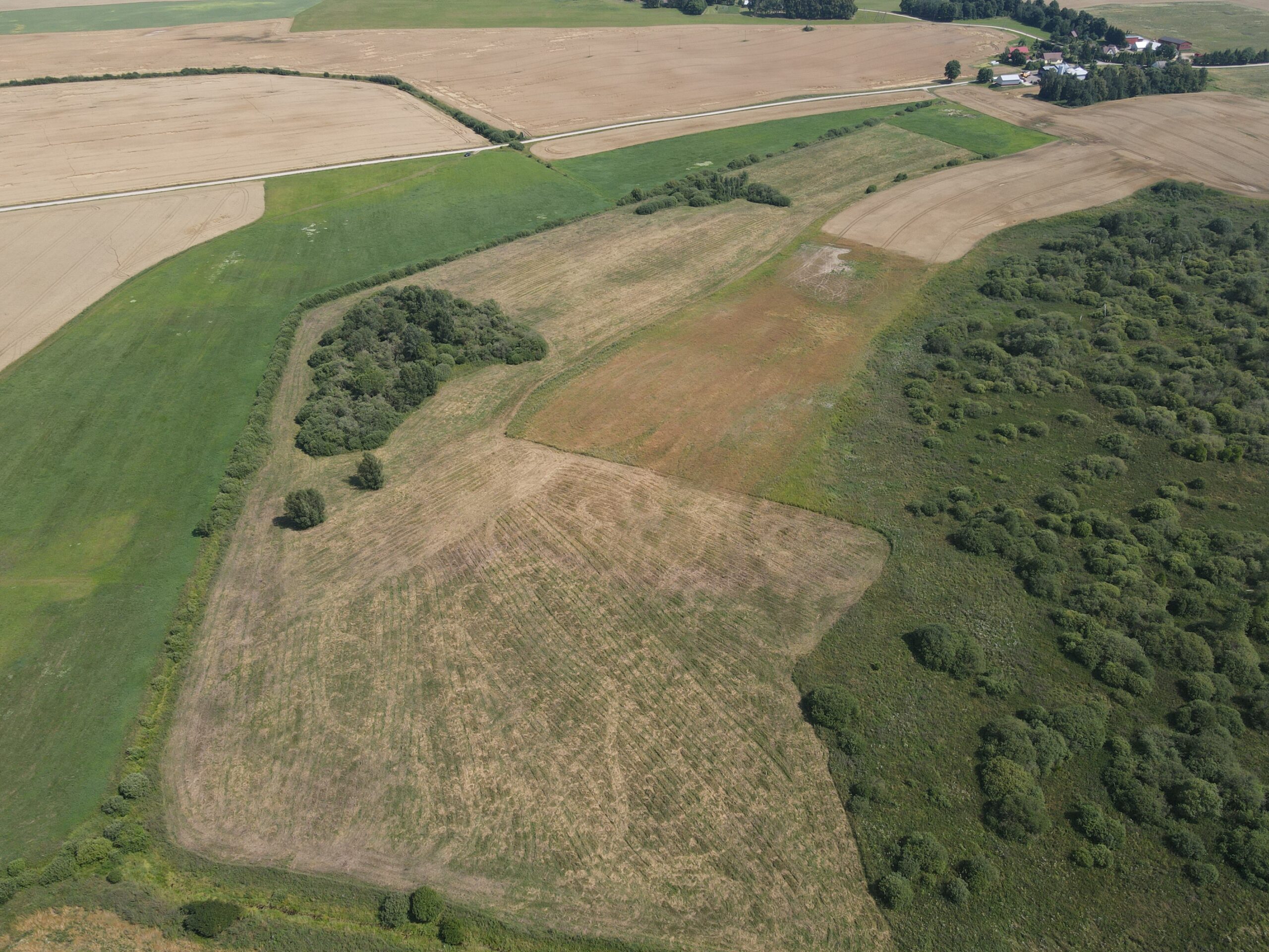 9.2041 HA ŽEMĖS SKLYPAS ŠIRVINTŲ R. SAV., BAGASLAVIŠKIS.