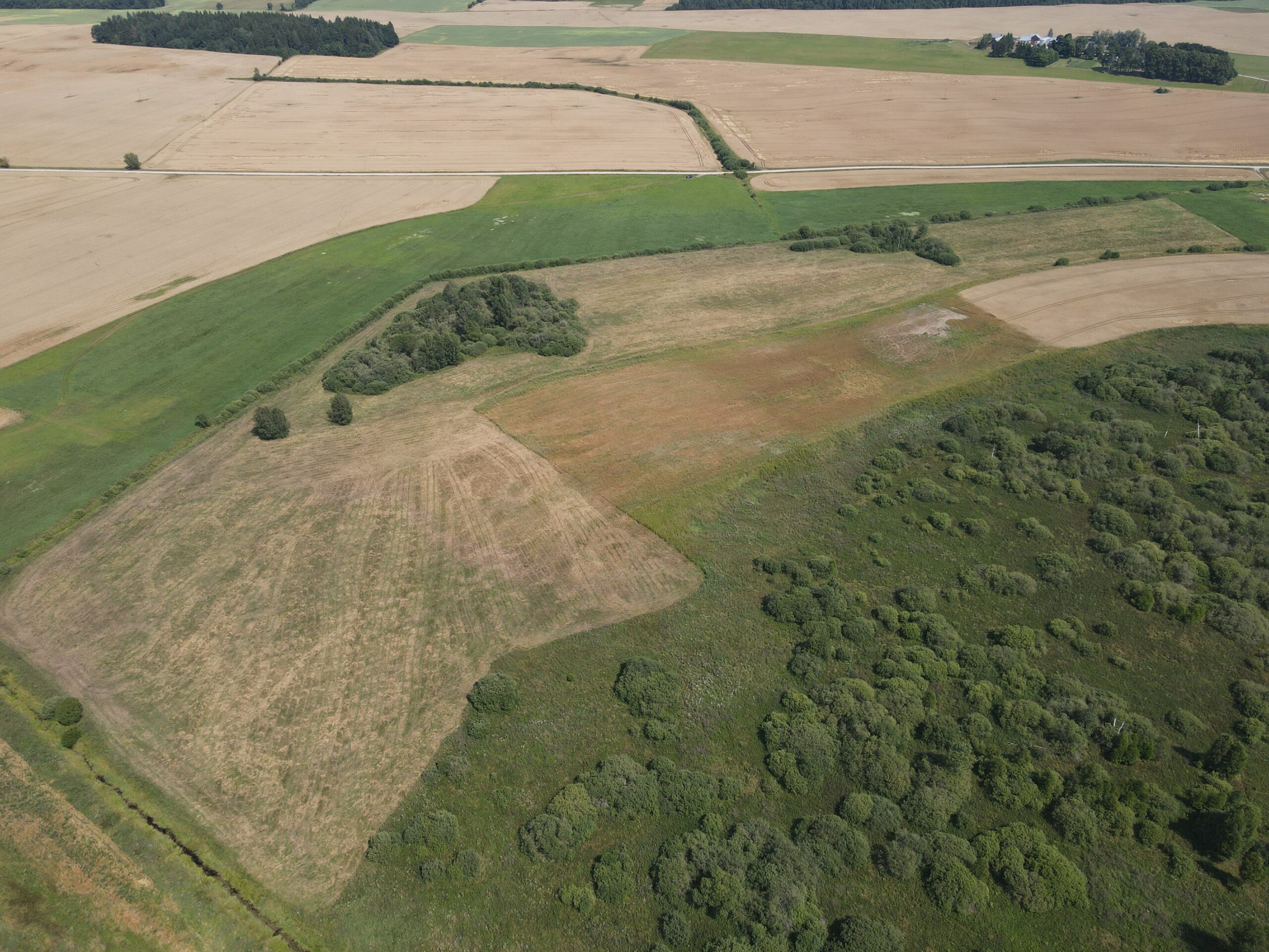 9.2041 HA ŽEMĖS SKLYPAS ŠIRVINTŲ R. SAV., BAGASLAVIŠKIS.