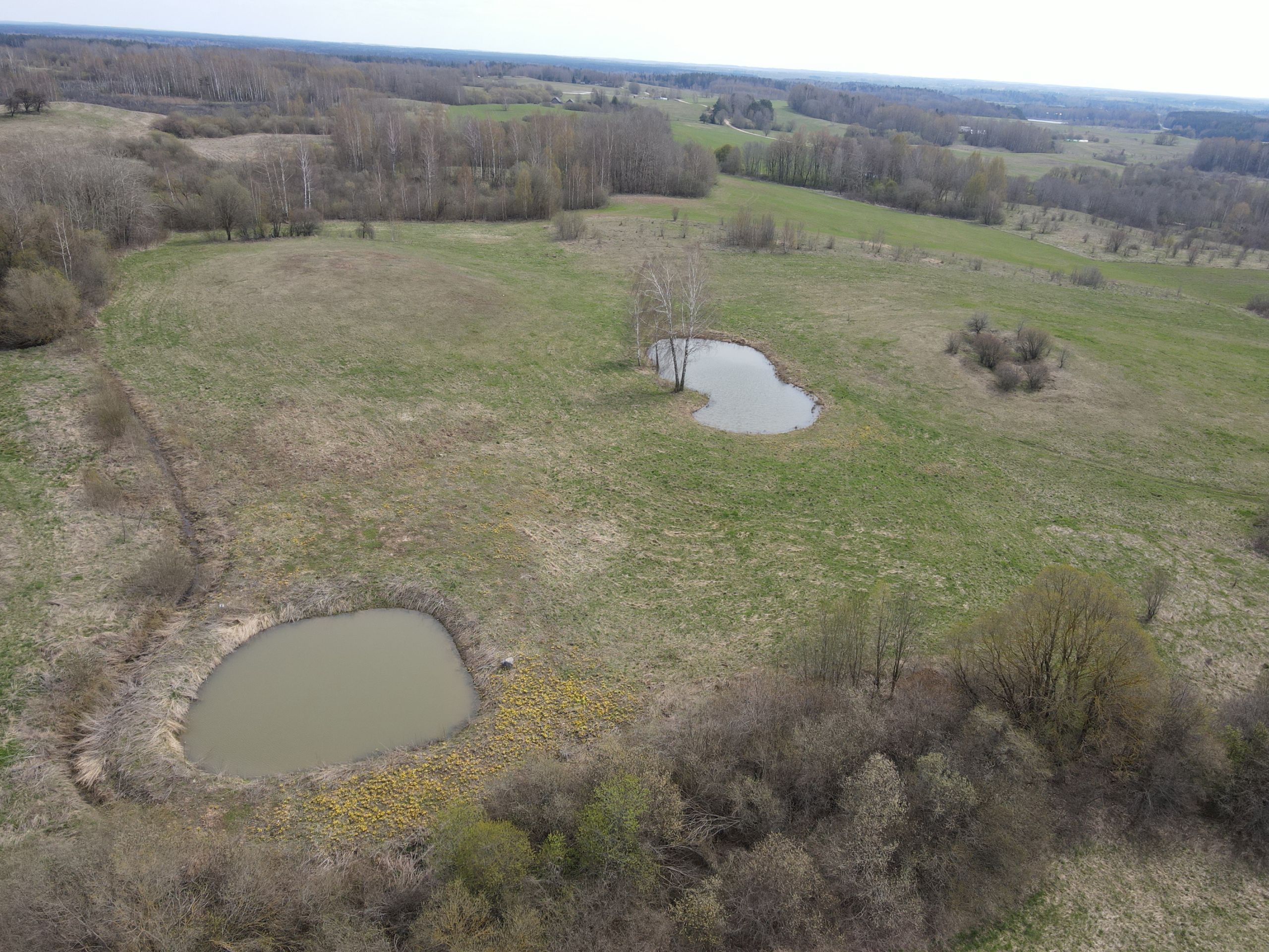 2.5380 HA ŽEMĖS SKLYPAS ŠIRVINTŲ R. SAV., KERNAVĖS SEN., ČIRKŲ K.