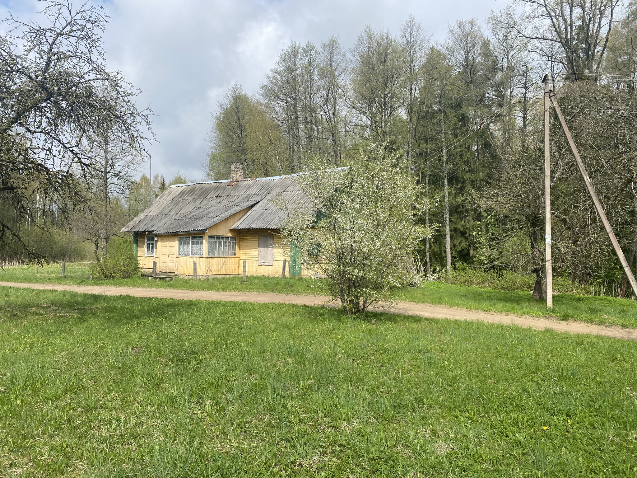 PARDUODAMAS MEDINIS NAMAS ASVEJOS REGIONINIAME PARKE