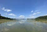 PARDUODAMAS MEDINIS NAMAS ASVEJOS REGIONINIAME PARKE