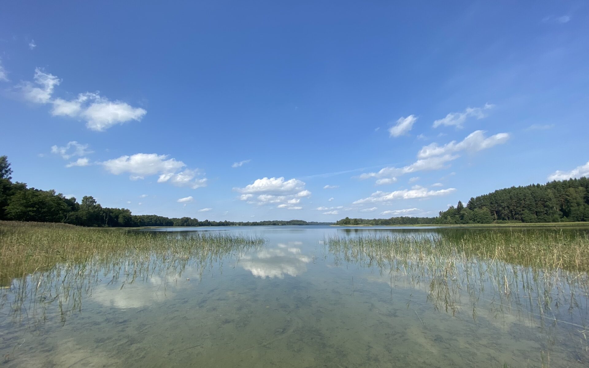 PARDUODAMAS MEDINIS NAMAS ASVEJOS REGIONINIAME PARKE
