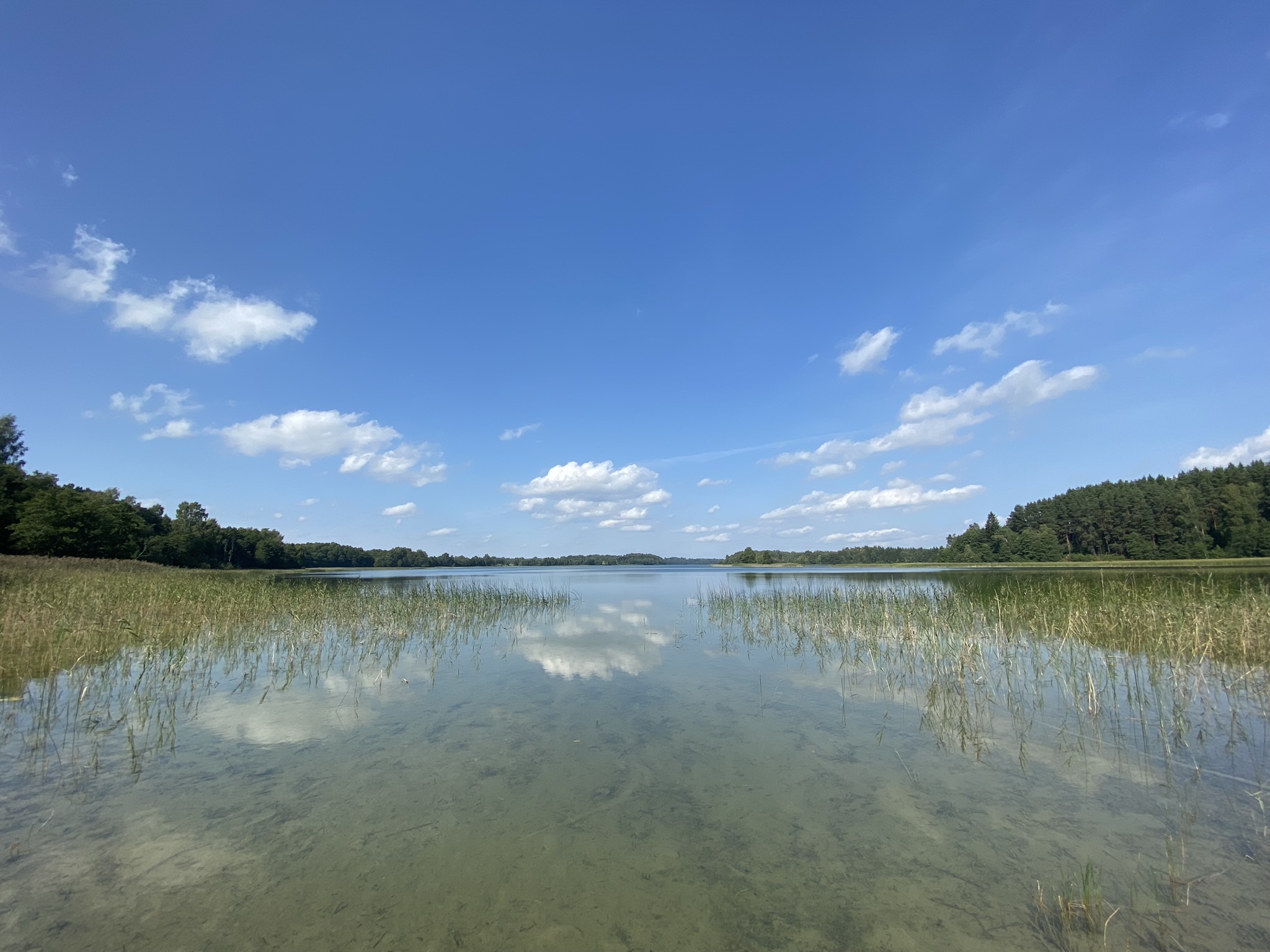 PARDUODAMAS MEDINIS NAMAS ASVEJOS REGIONINIAME PARKE