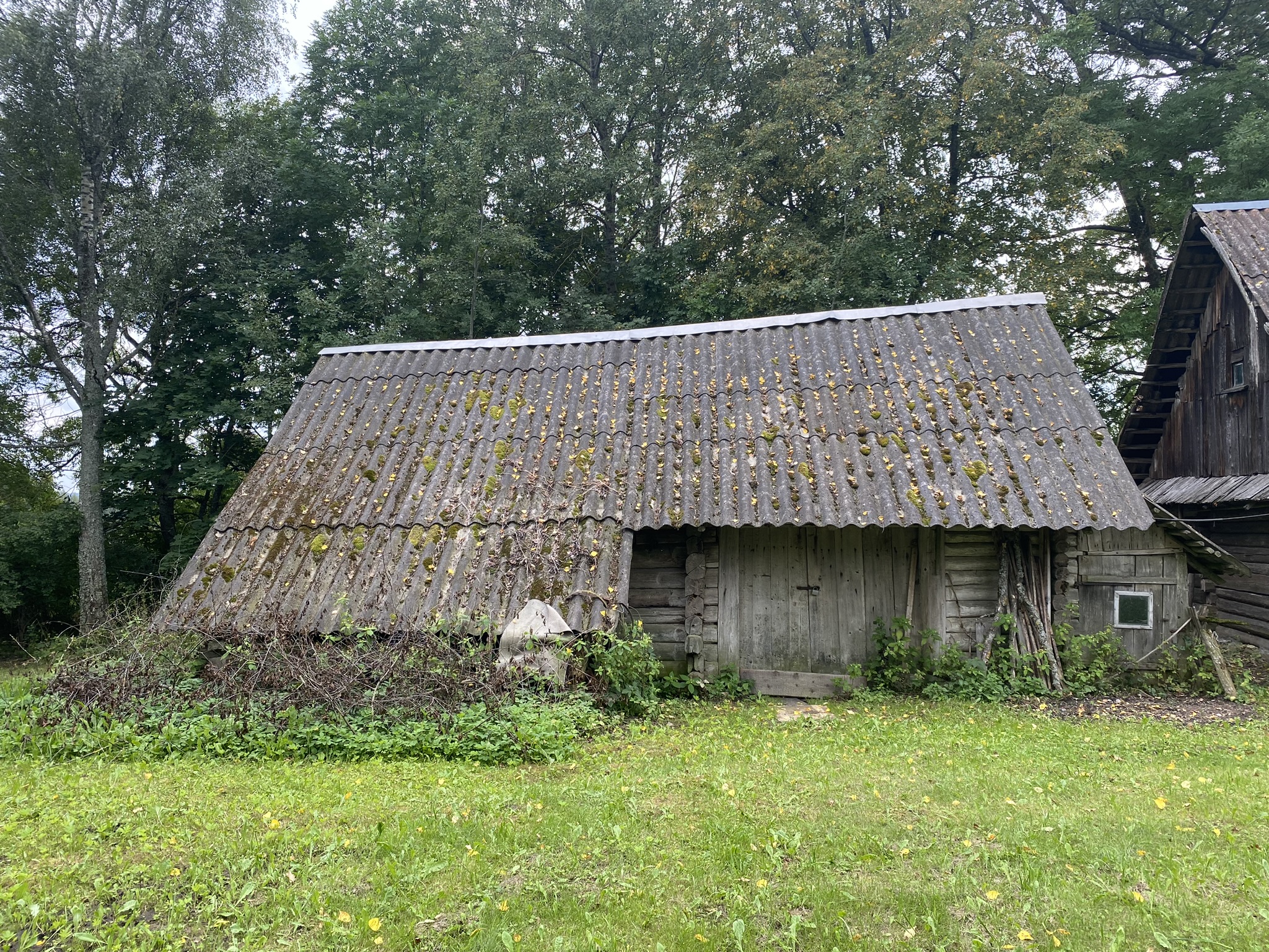 50 ARŲ ŽEMĖS SKLYPAS IGNALINOS RAJ. MIELAGĖNŲ SEN., RYŽIŠKĖS K.