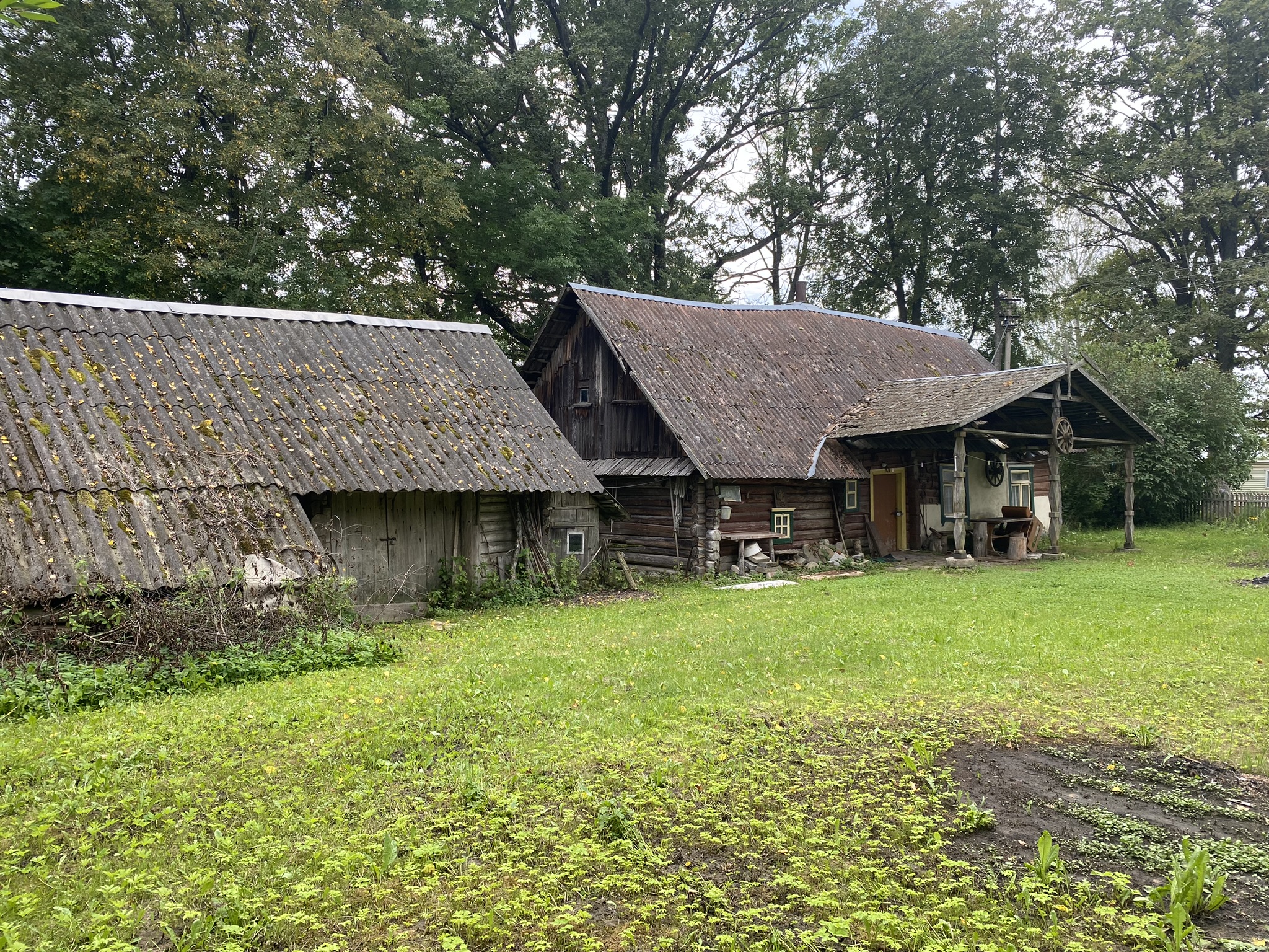 50 ARŲ ŽEMĖS SKLYPAS IGNALINOS RAJ. MIELAGĖNŲ SEN., RYŽIŠKĖS K.