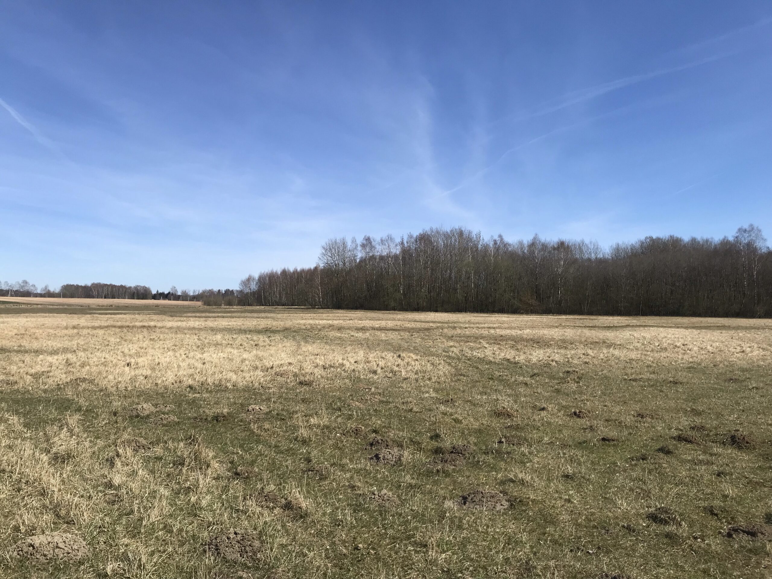 0,9030 HA ŽEMĖS SKLYPAS ŠIRVINTŲ R. SAV., MUSNINKŲ SEN., TAUČIULIŲ.