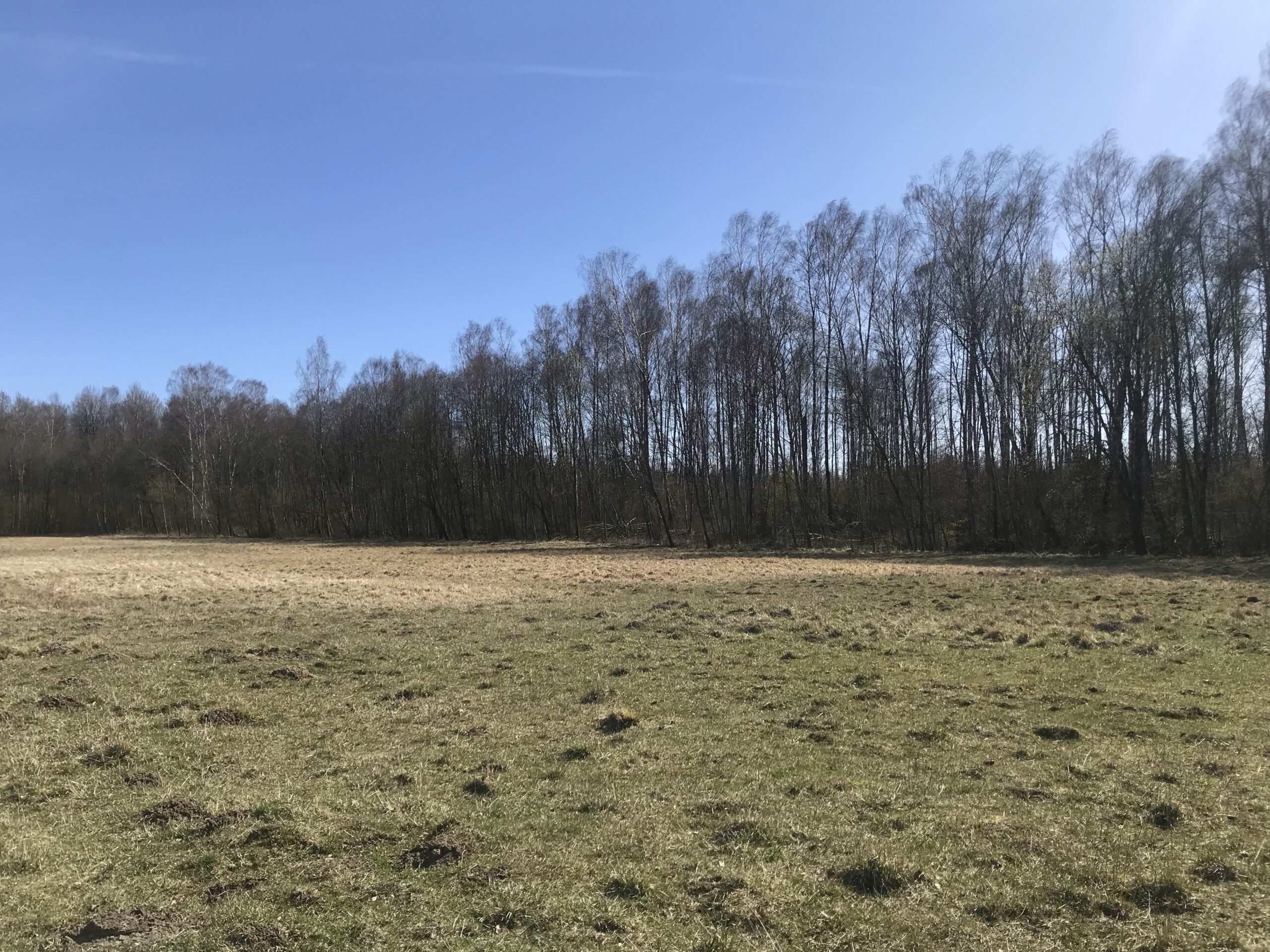 0,9030 HA ŽEMĖS SKLYPAS ŠIRVINTŲ R. SAV., MUSNINKŲ SEN., TAUČIULIŲ.