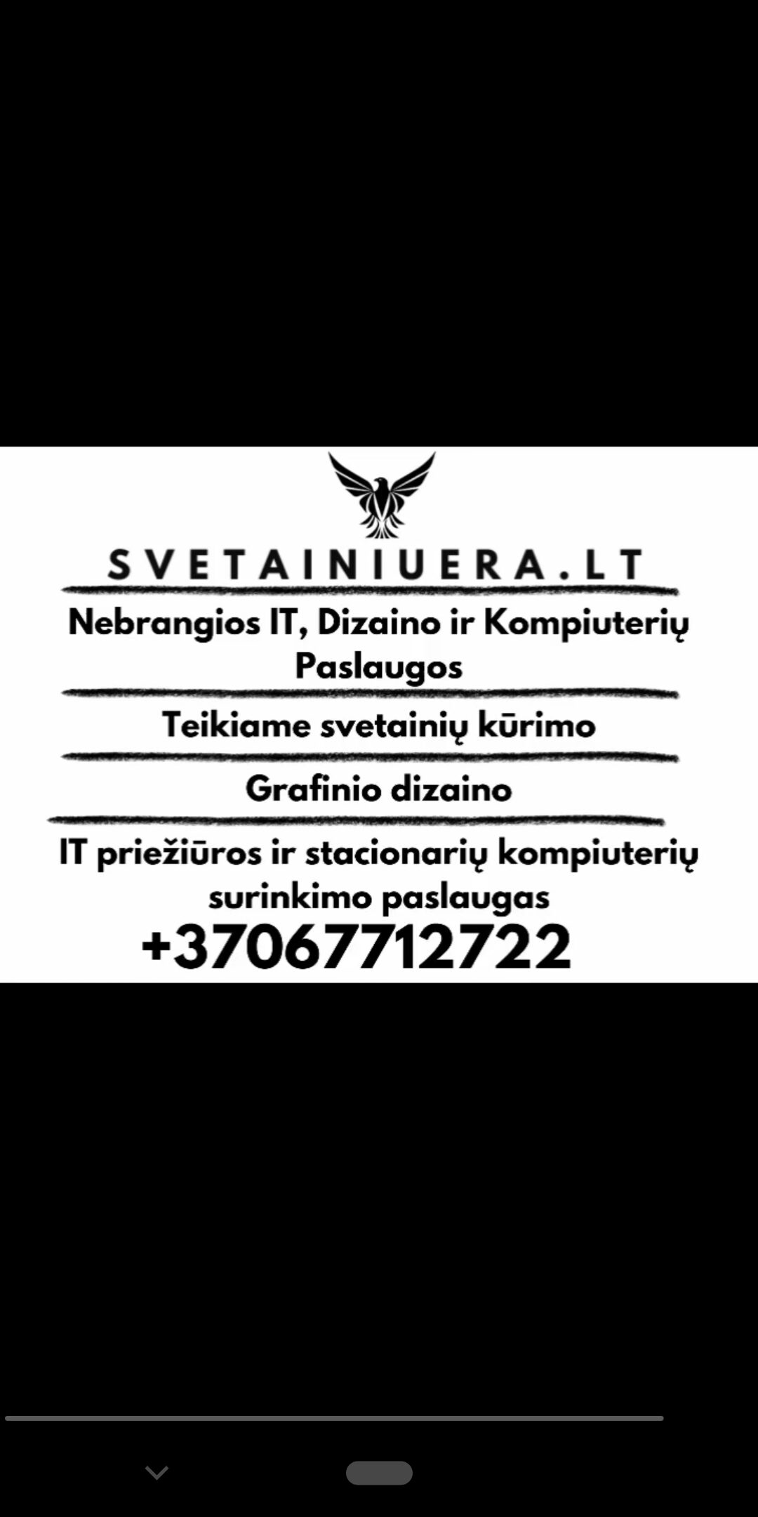 Svetainių kūrimas dabar už ypatingą kainą!“