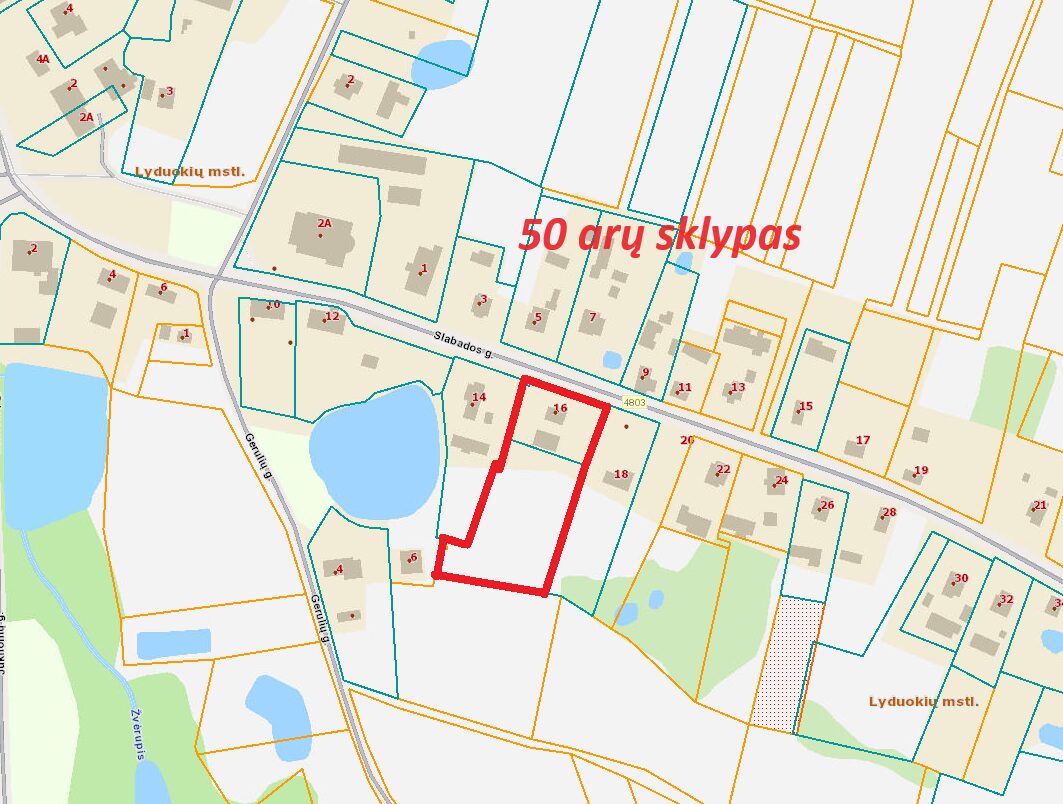 PARDUODAMAS MEDINIS NAMAS